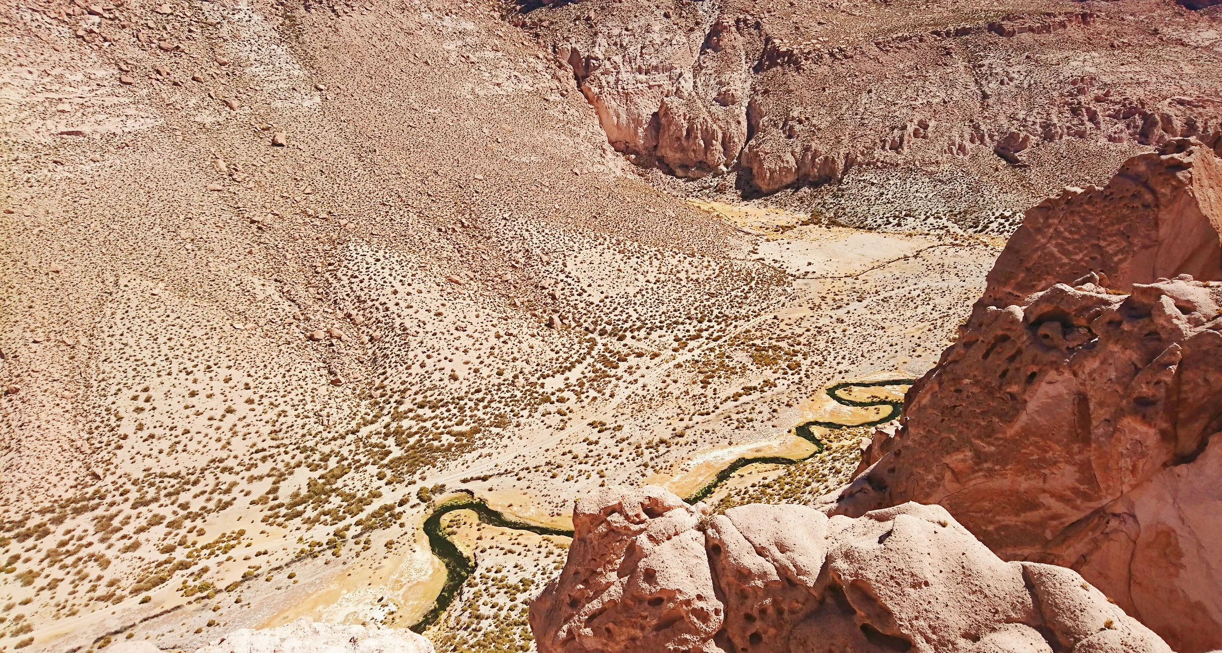 2018-08-14 06.19.26 2.jpg