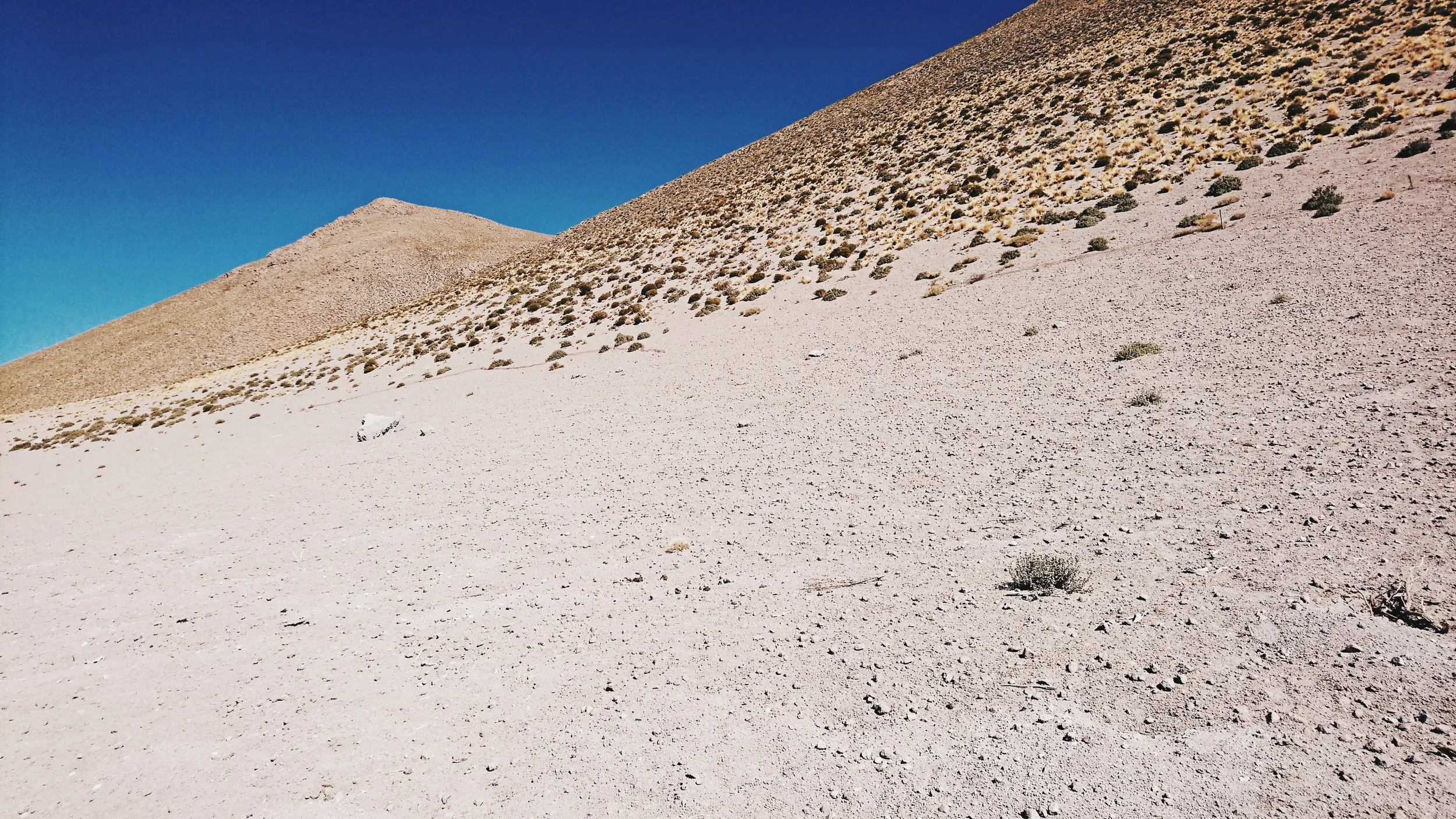 2018-08-14 05.38.33 2.jpg