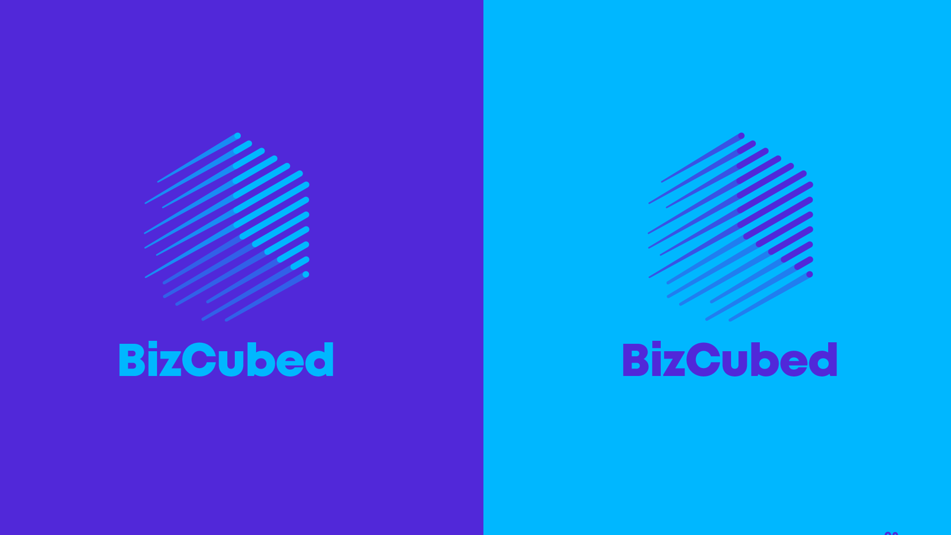 Biz01 copy 3.png