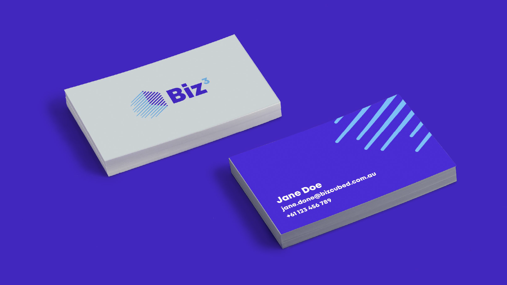 Biz01 copy 4.png