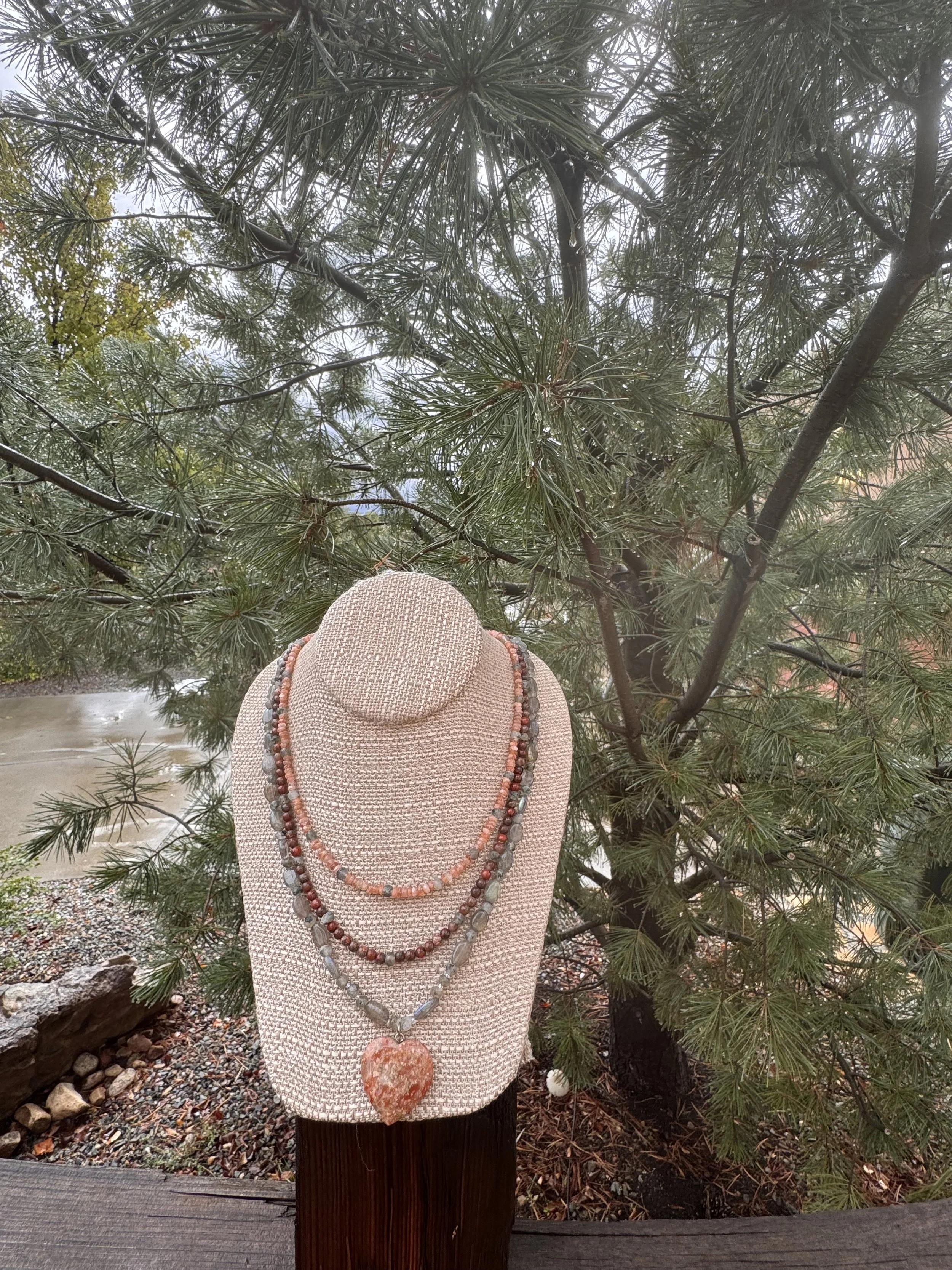 Love Autumn Rains wet pine tree.jpeg