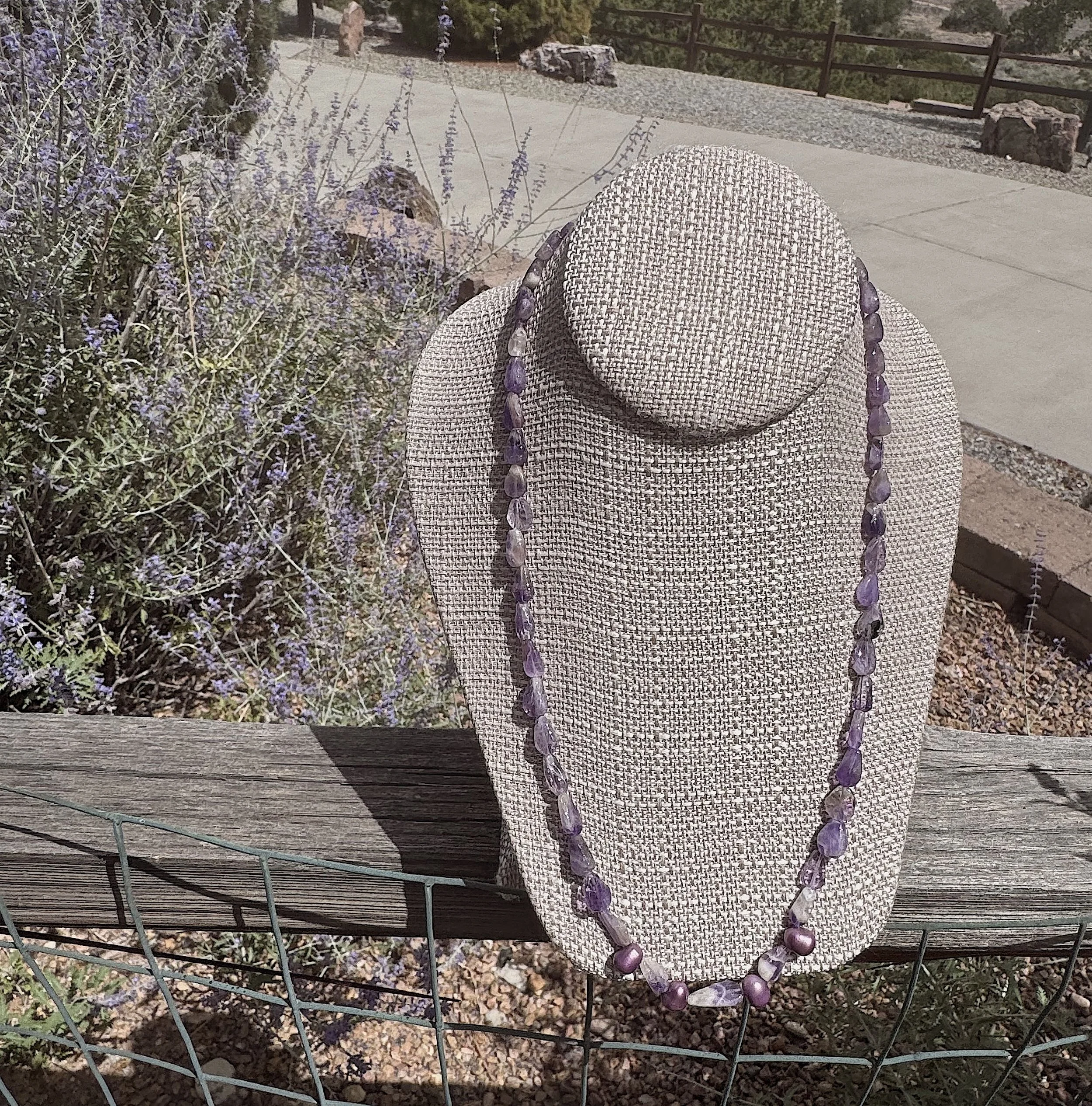 Purple Flowers russian sage.jpeg