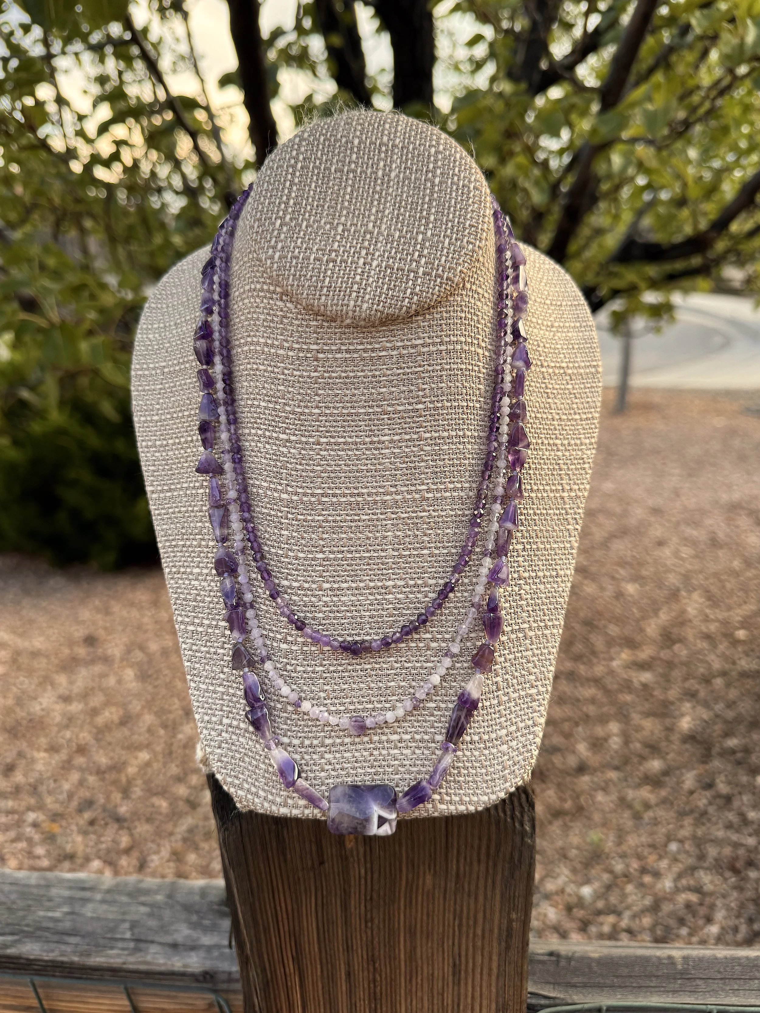 Amethyst Trio pear tree.jpeg