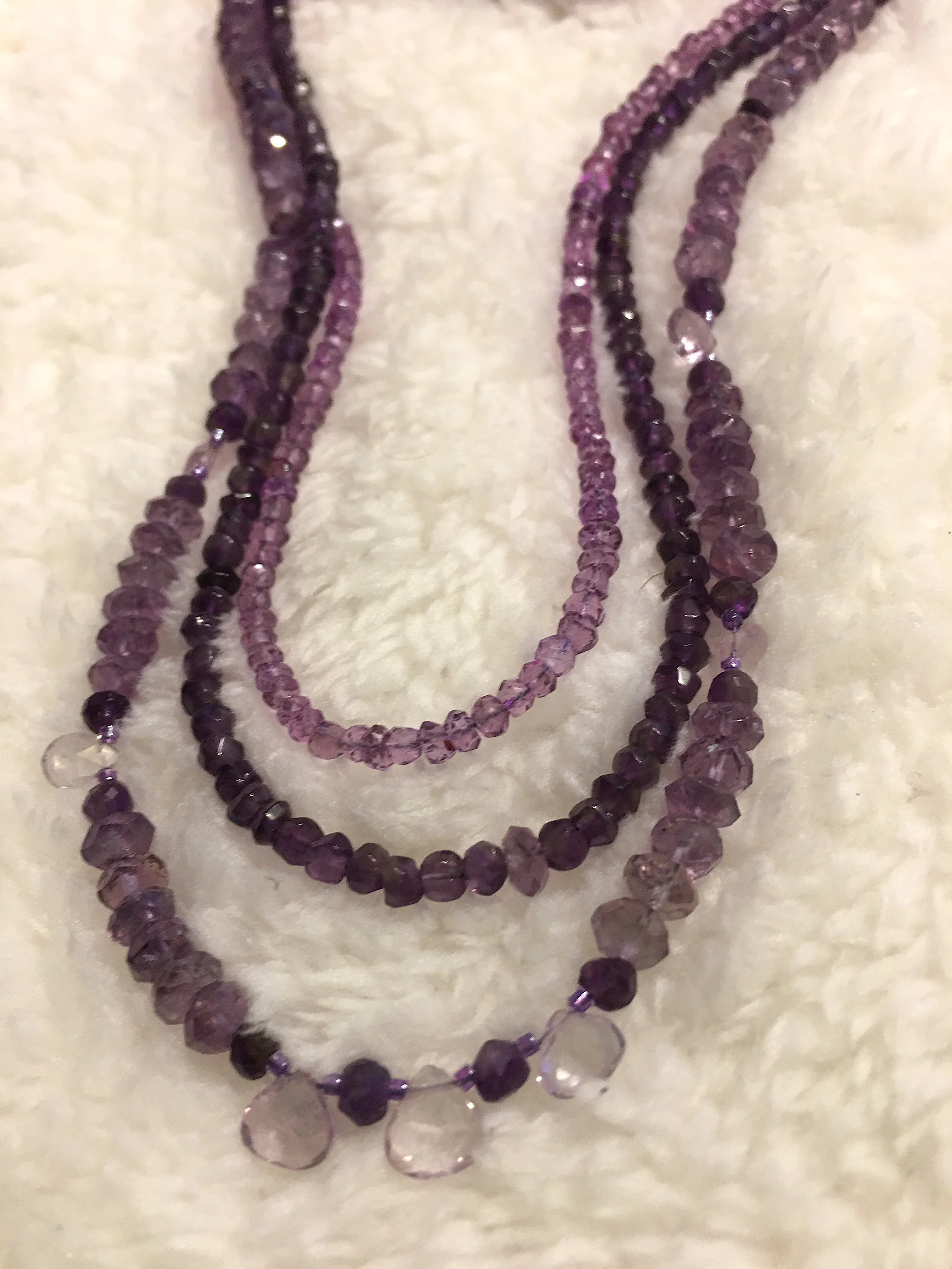 Purple Passion closeup on white.JPG