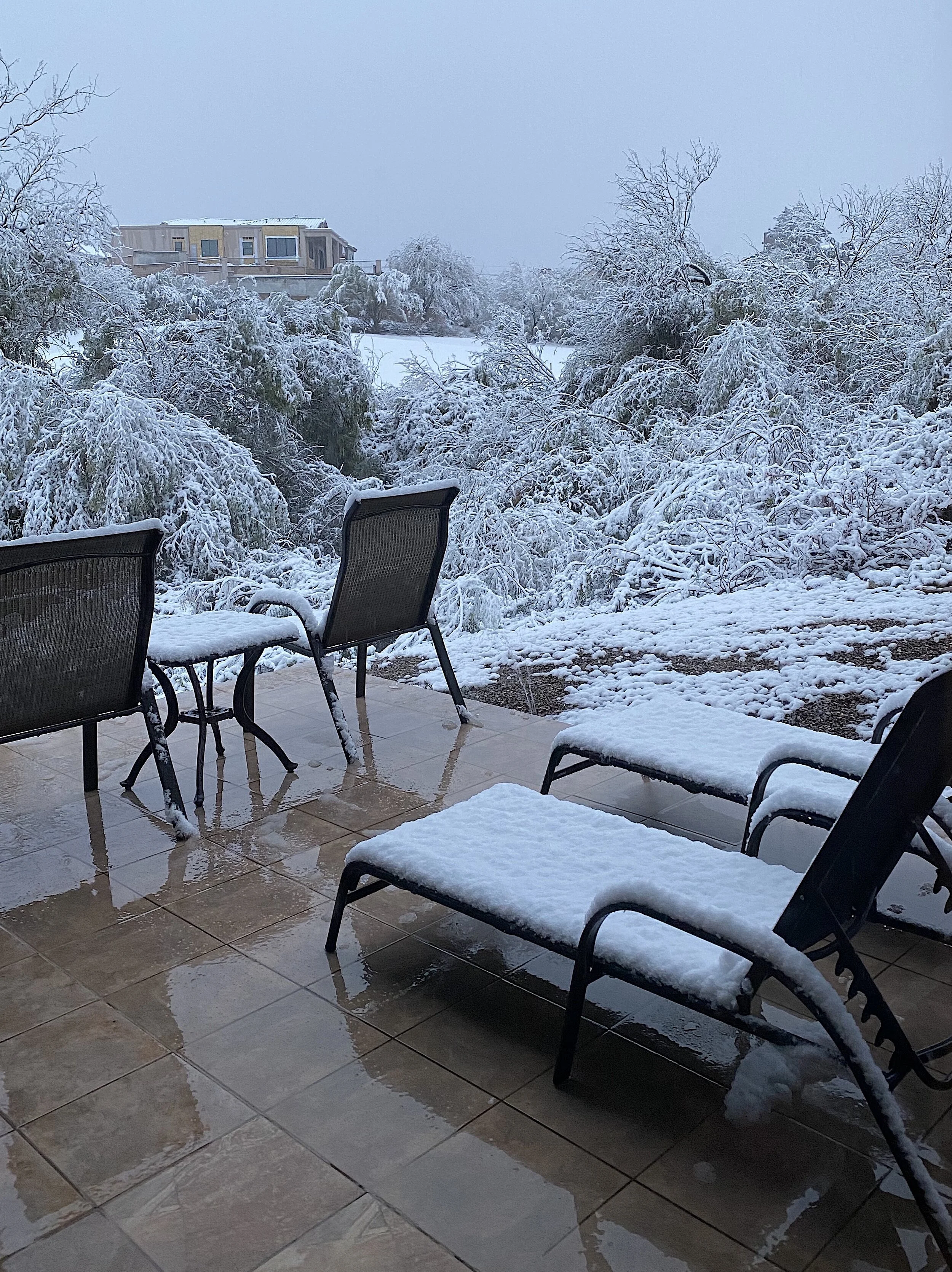 Tuscon snowstorm.jpg