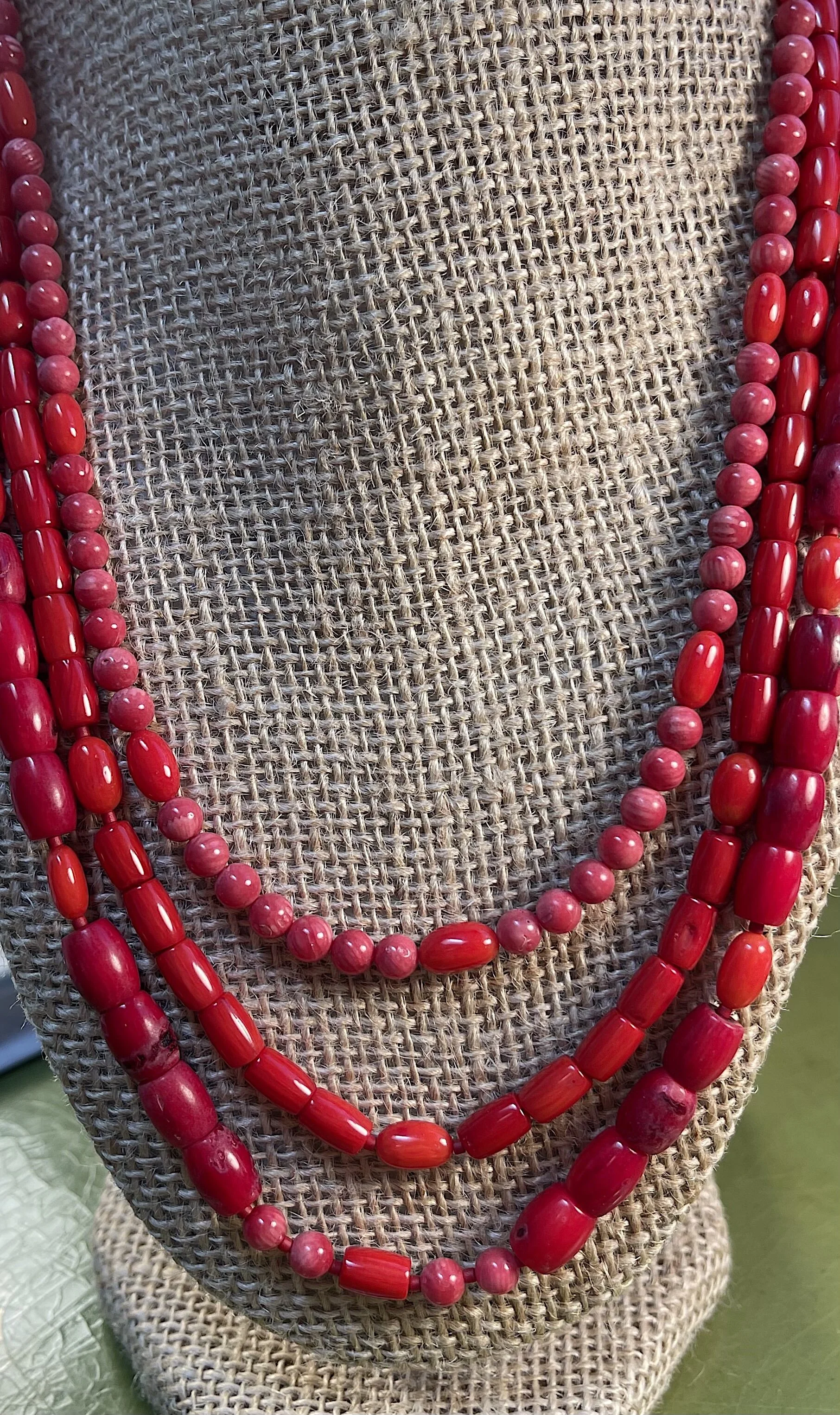 Roma on  stand on green.jpg