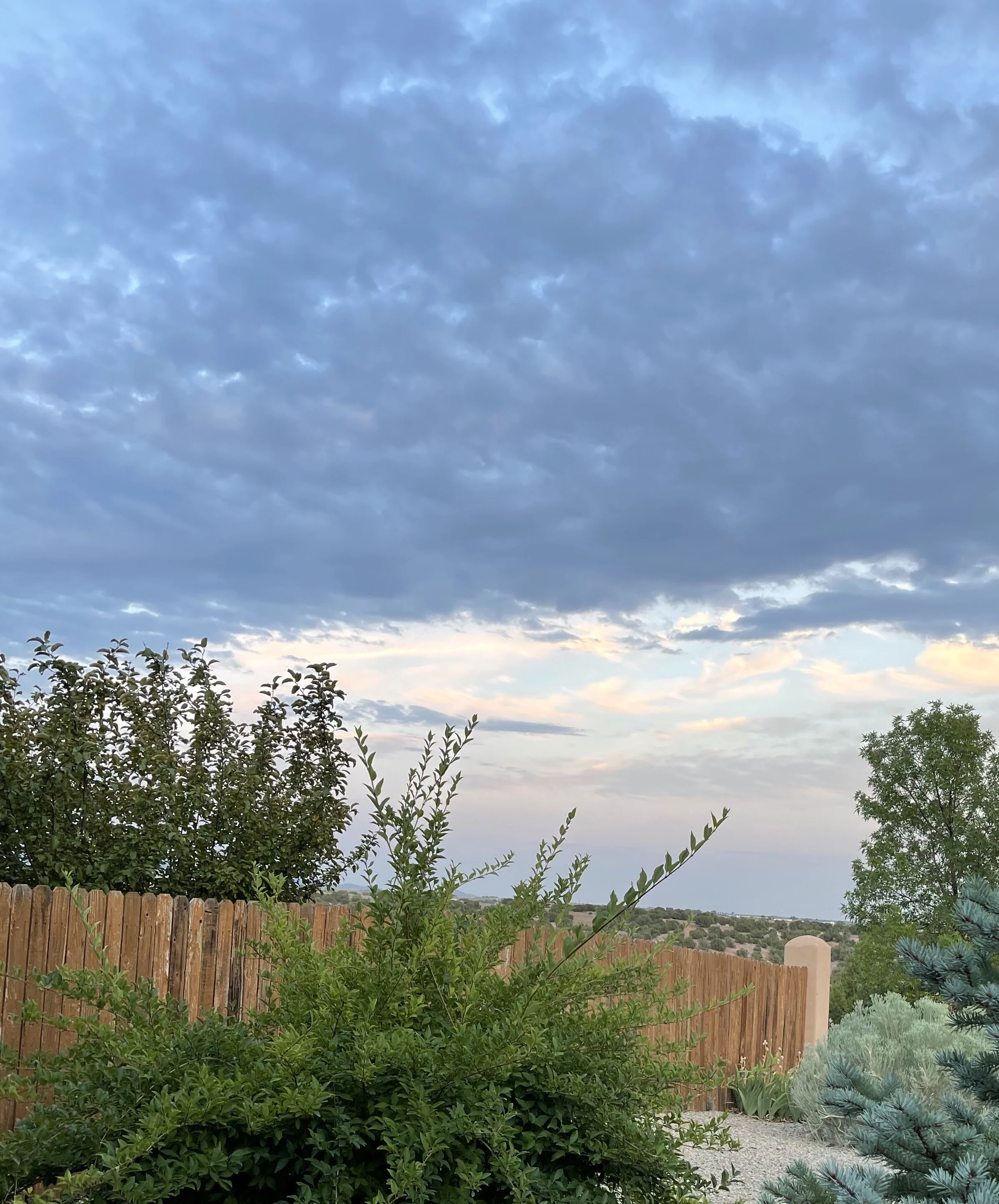 Actual Pale Sky 8:9:21.jpg