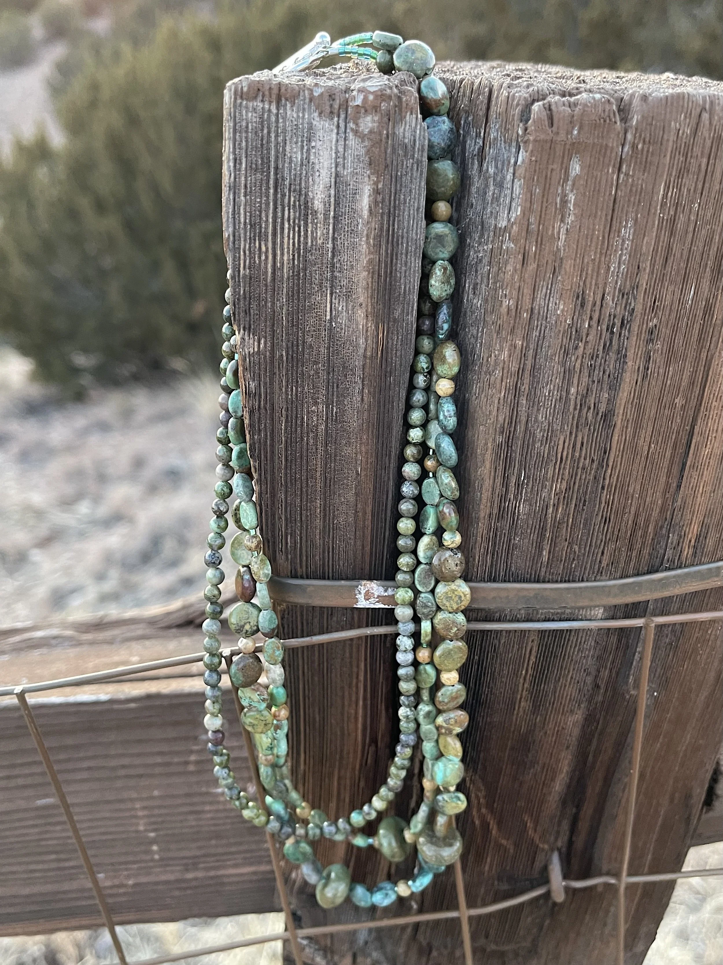 The Great Southwest on fence-best.jpg