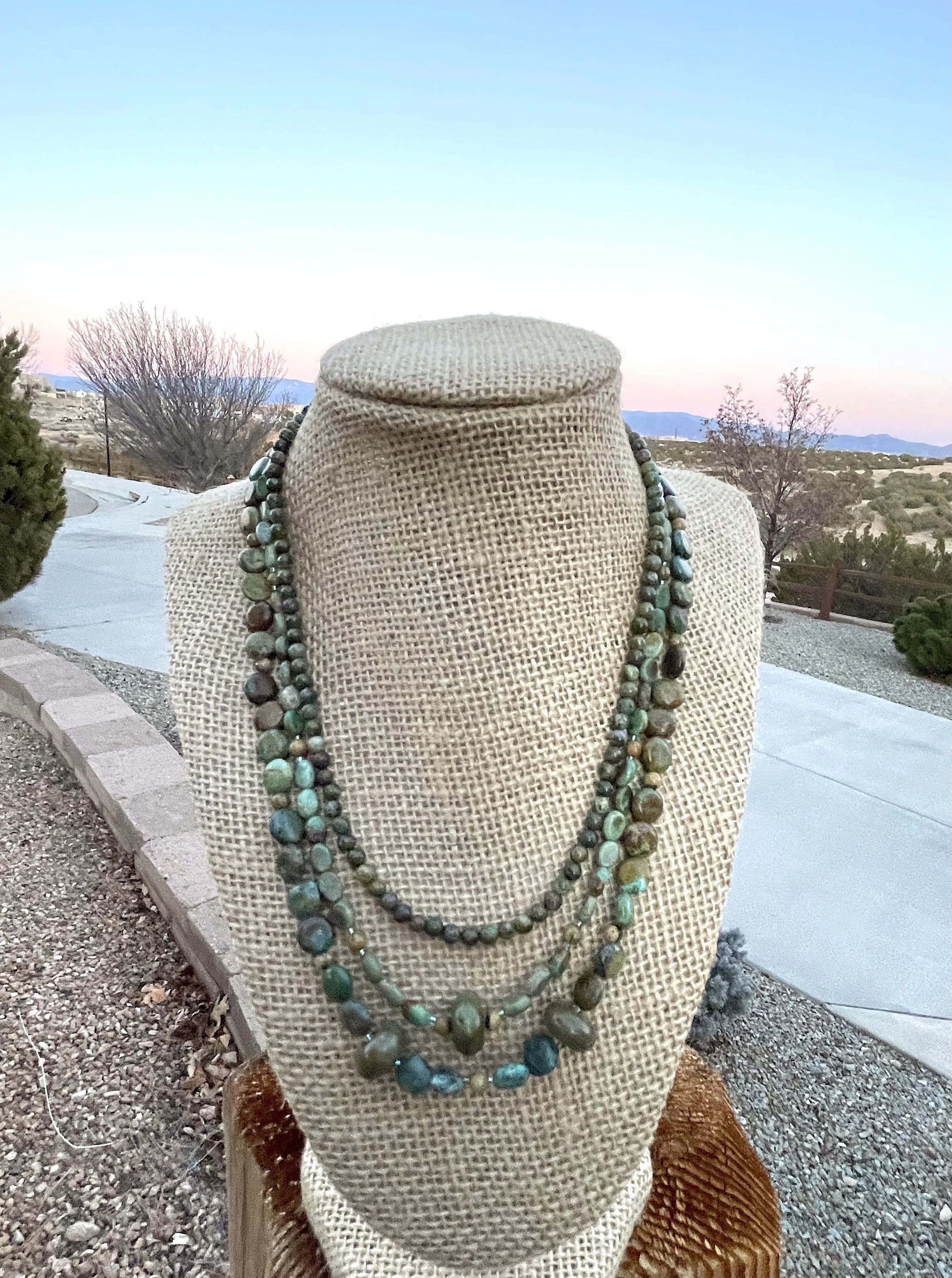 the great southwest on stand:driveway.jpg