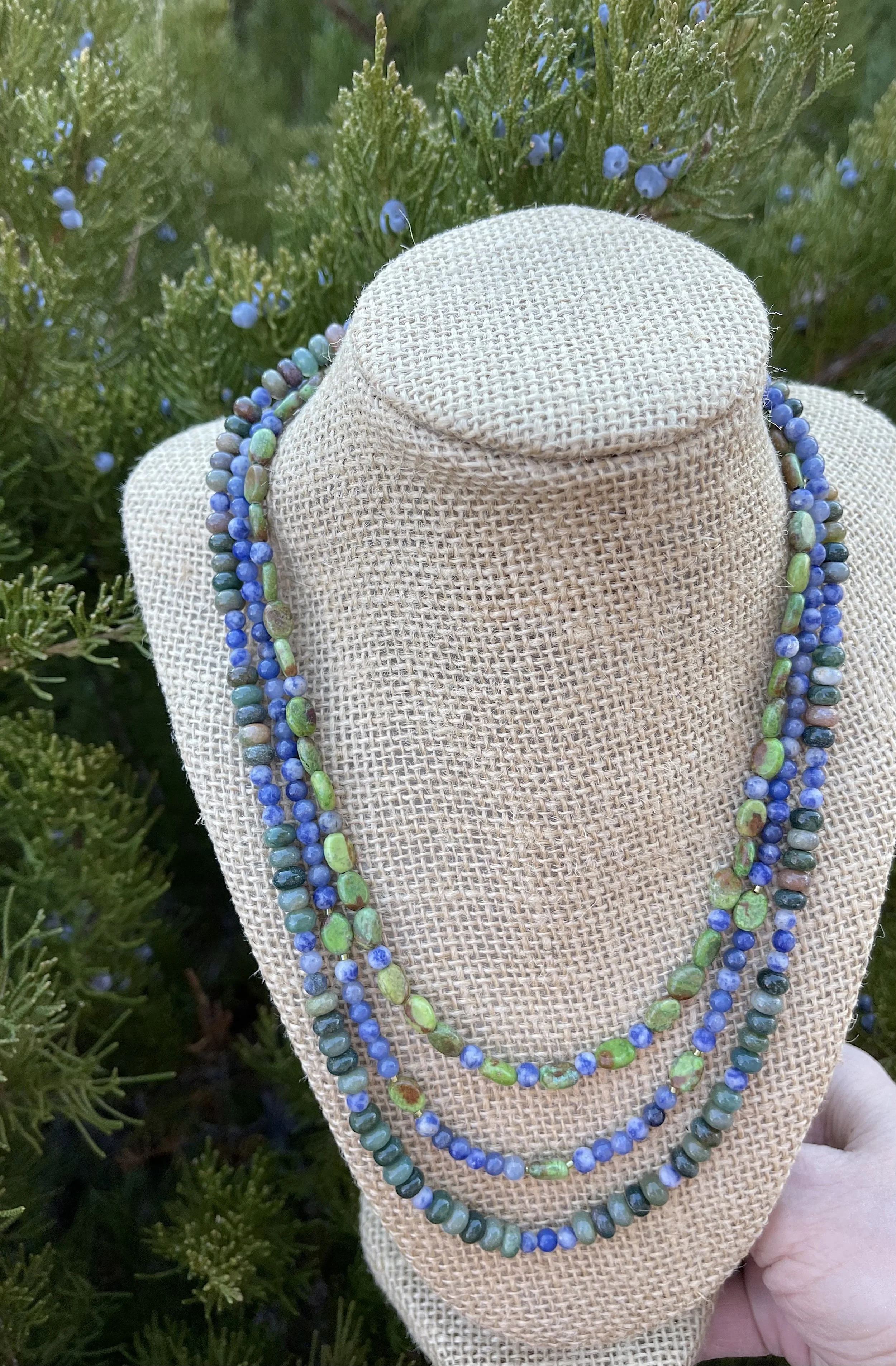 Juniper Berries on stand in juniper.jpg