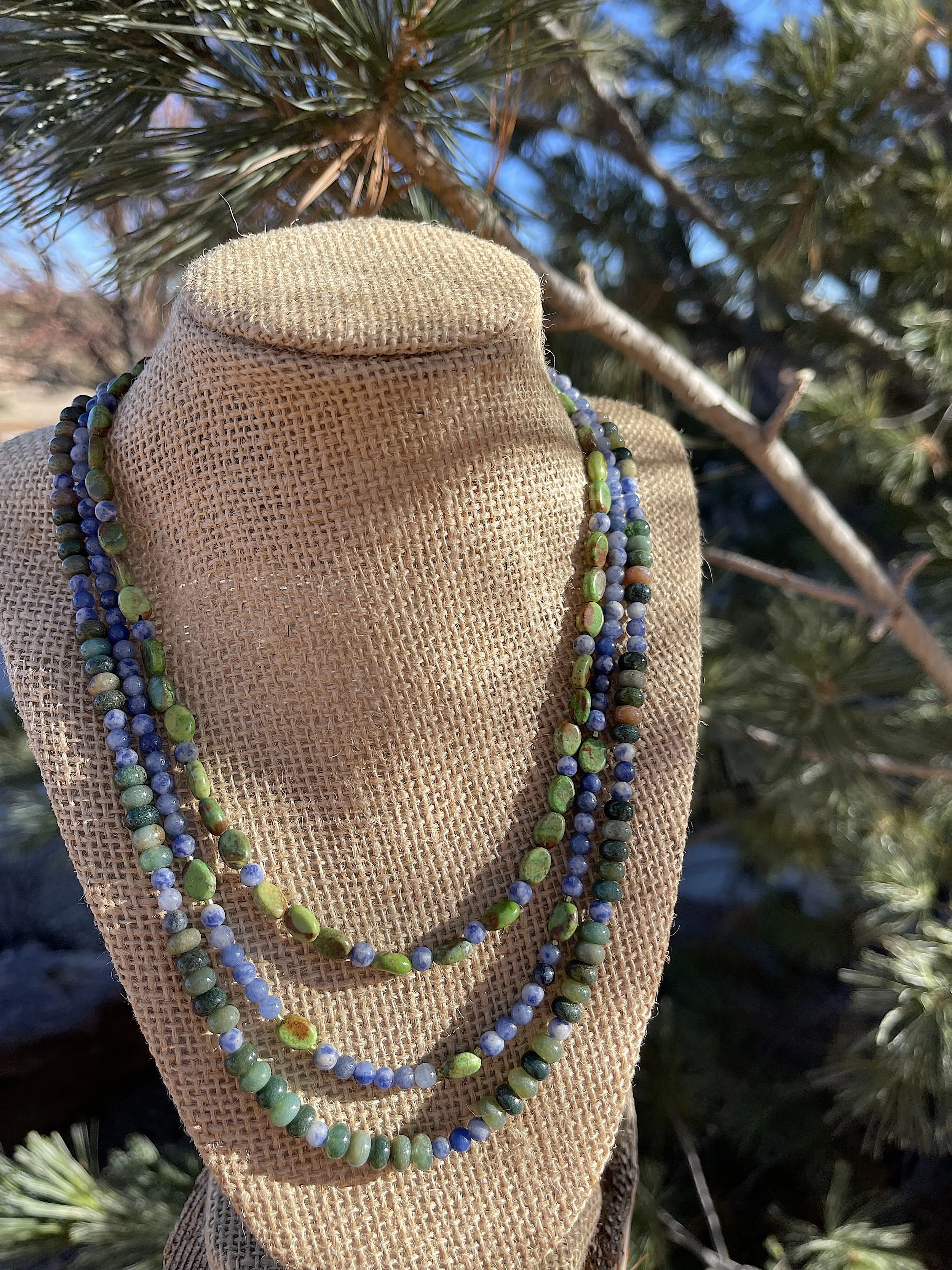 Juniper Berries next to pine bough.jpg