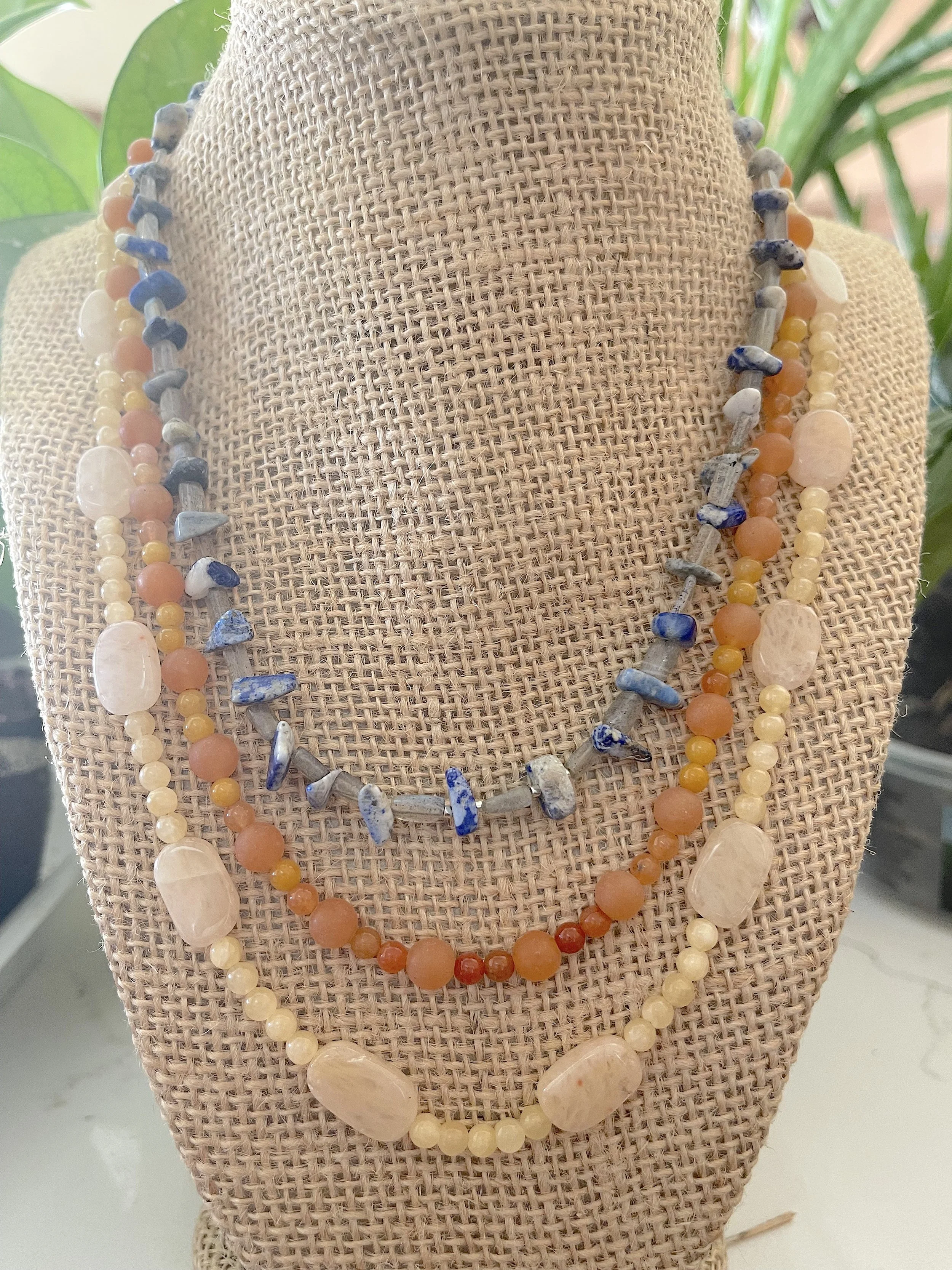 Ayla's Sunset in front of plants.jpg