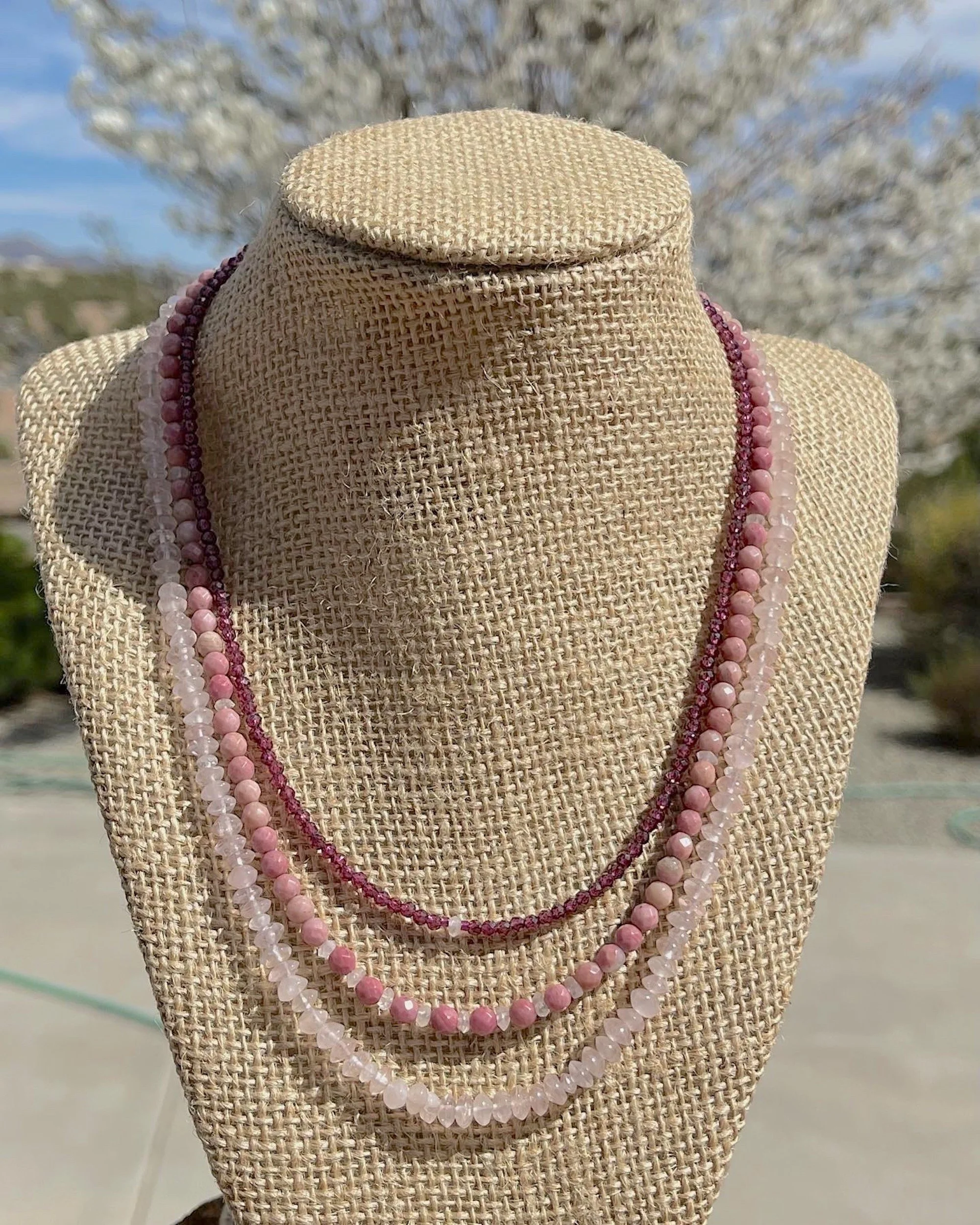 Flowering Fruit Trees outside.JPG