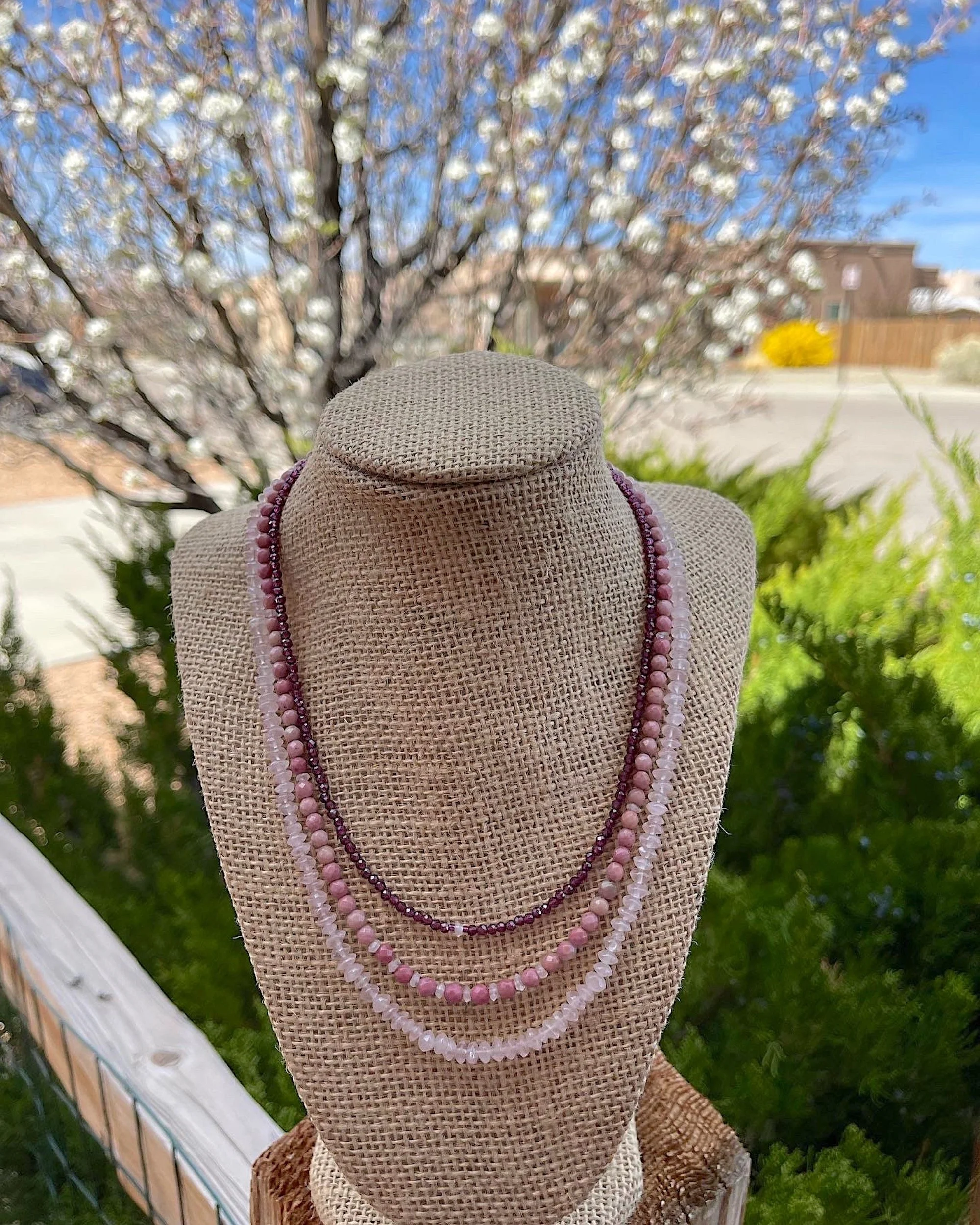 Flowering Fruit trees in front of pear.JPG