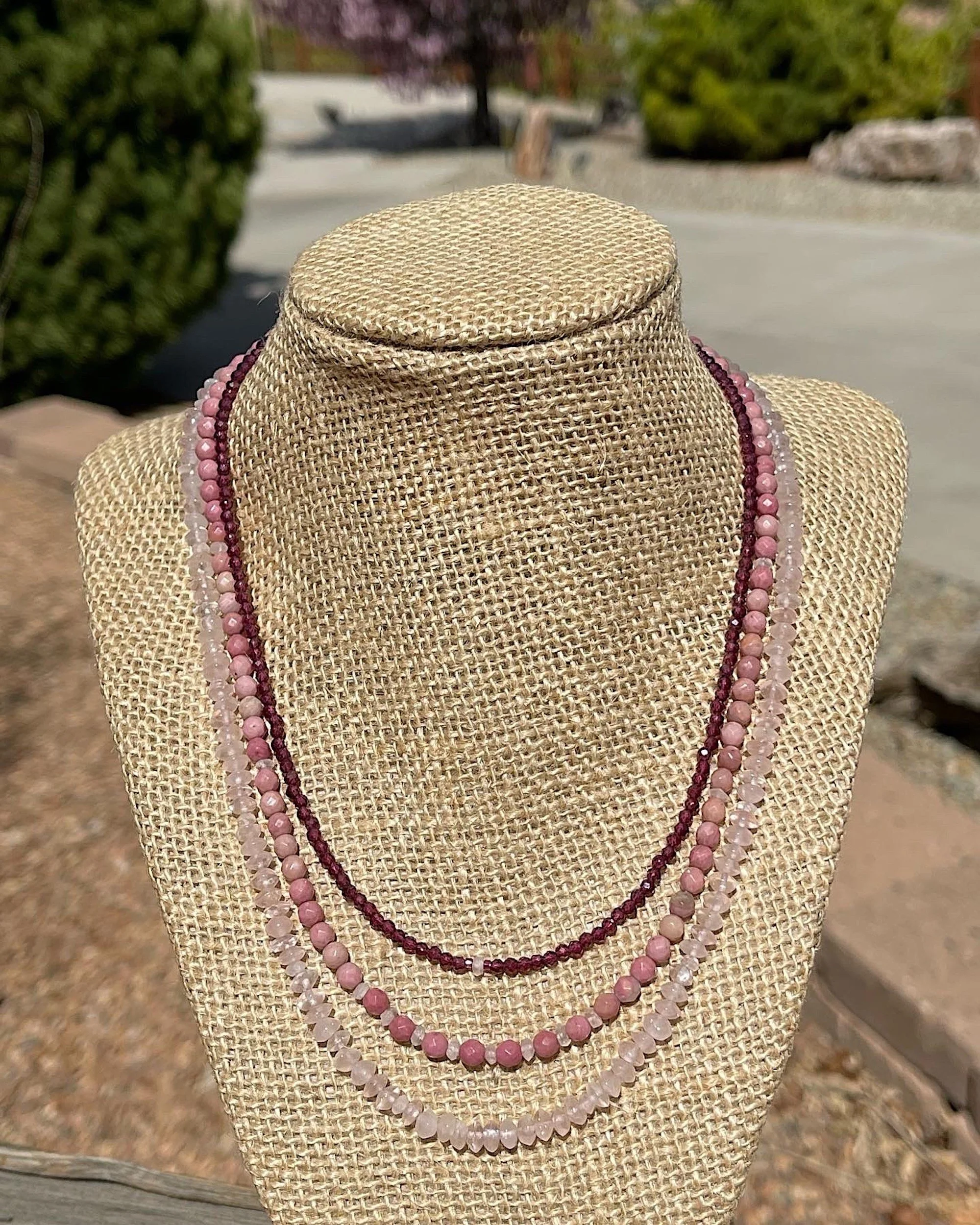 Flowering Fruit trees on stand:cinda's driveway.JPG