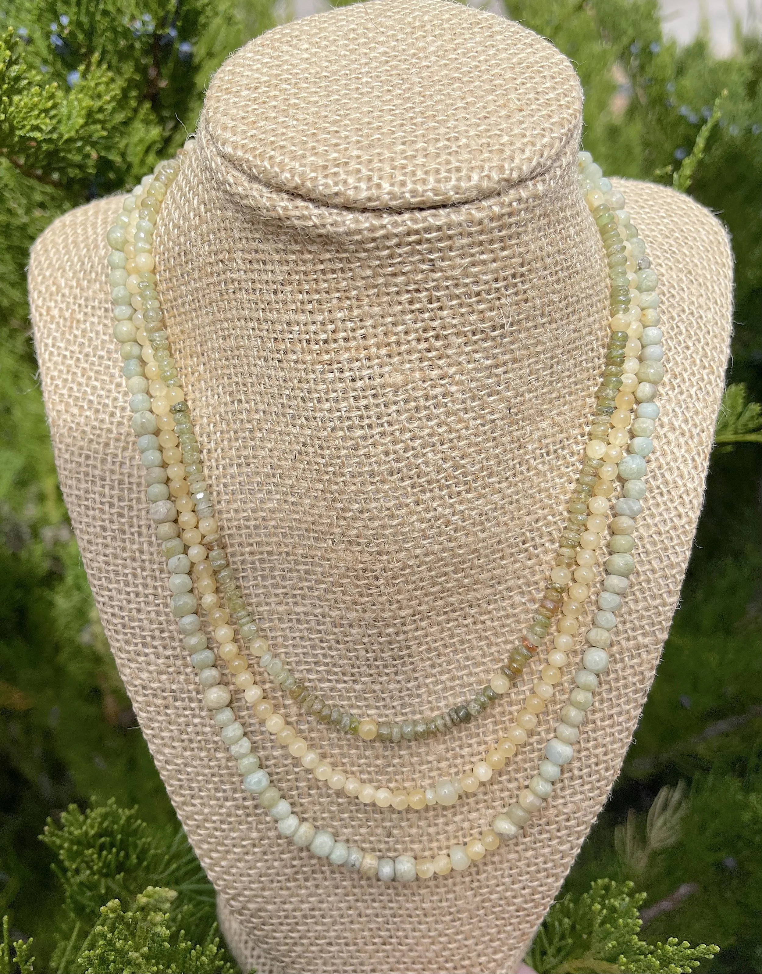 Citron and Sage in juniper.jpg