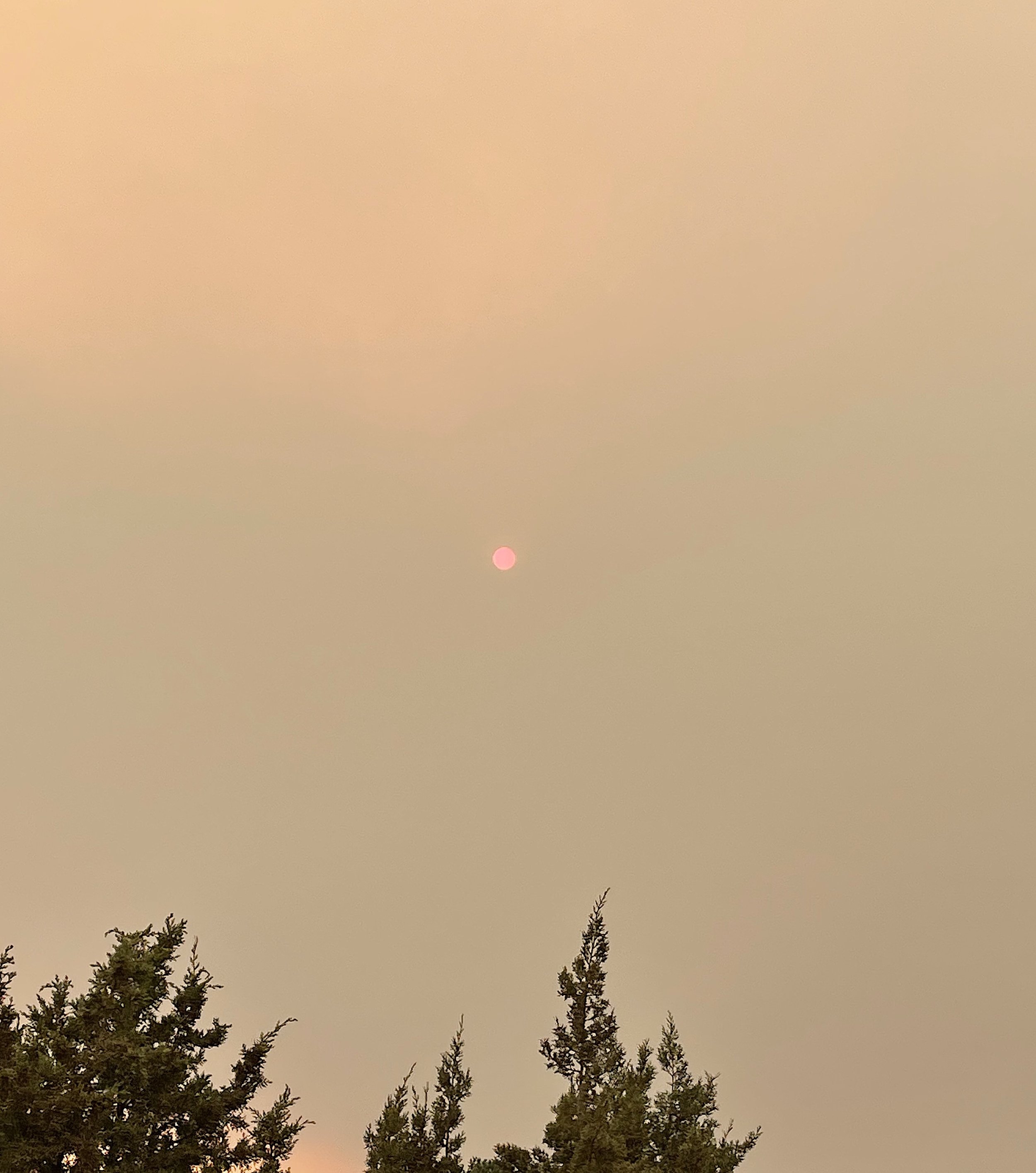 Pink sun:fire in the sky.jpg