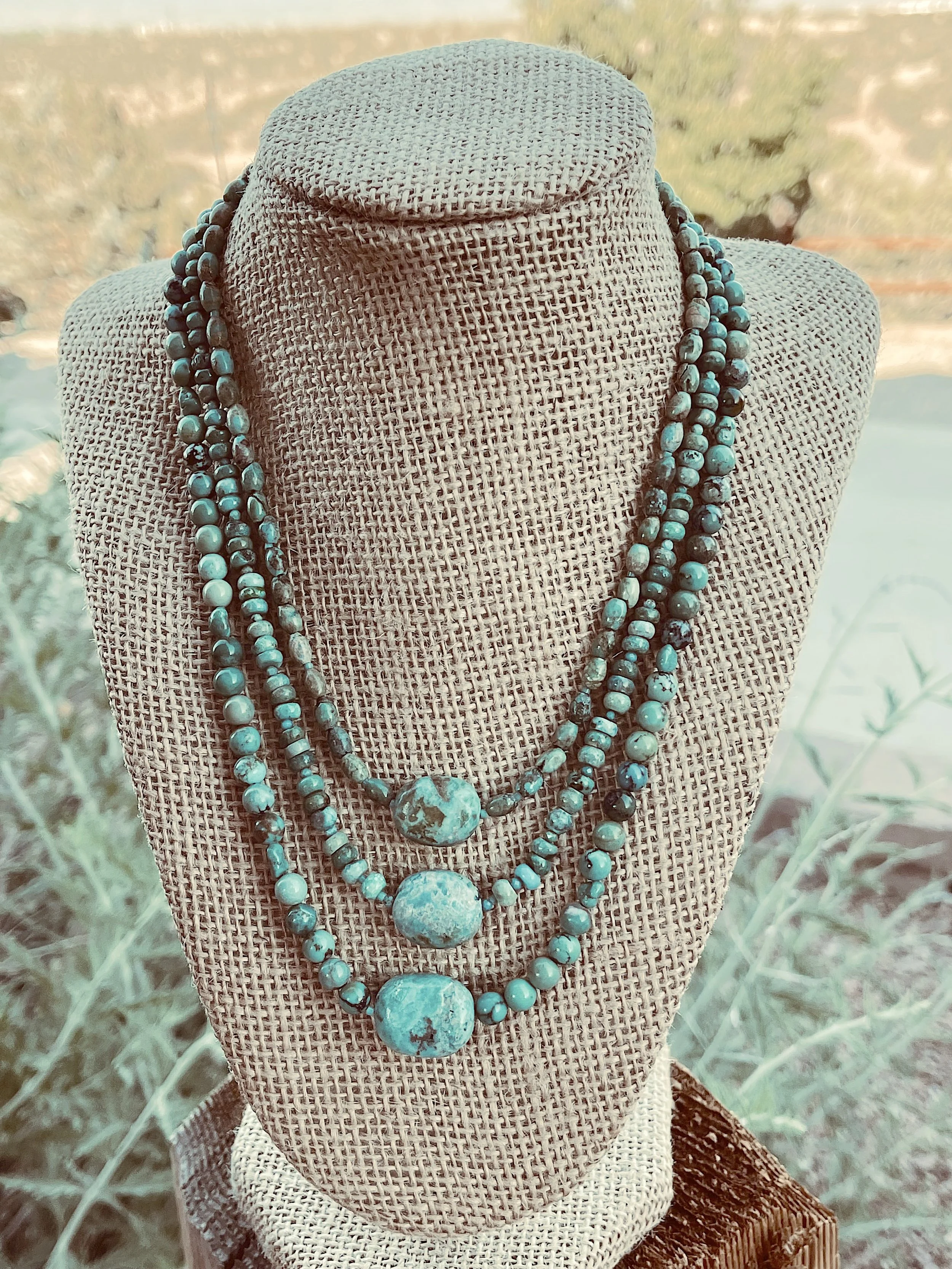 Route 66 in front of sage.jpg