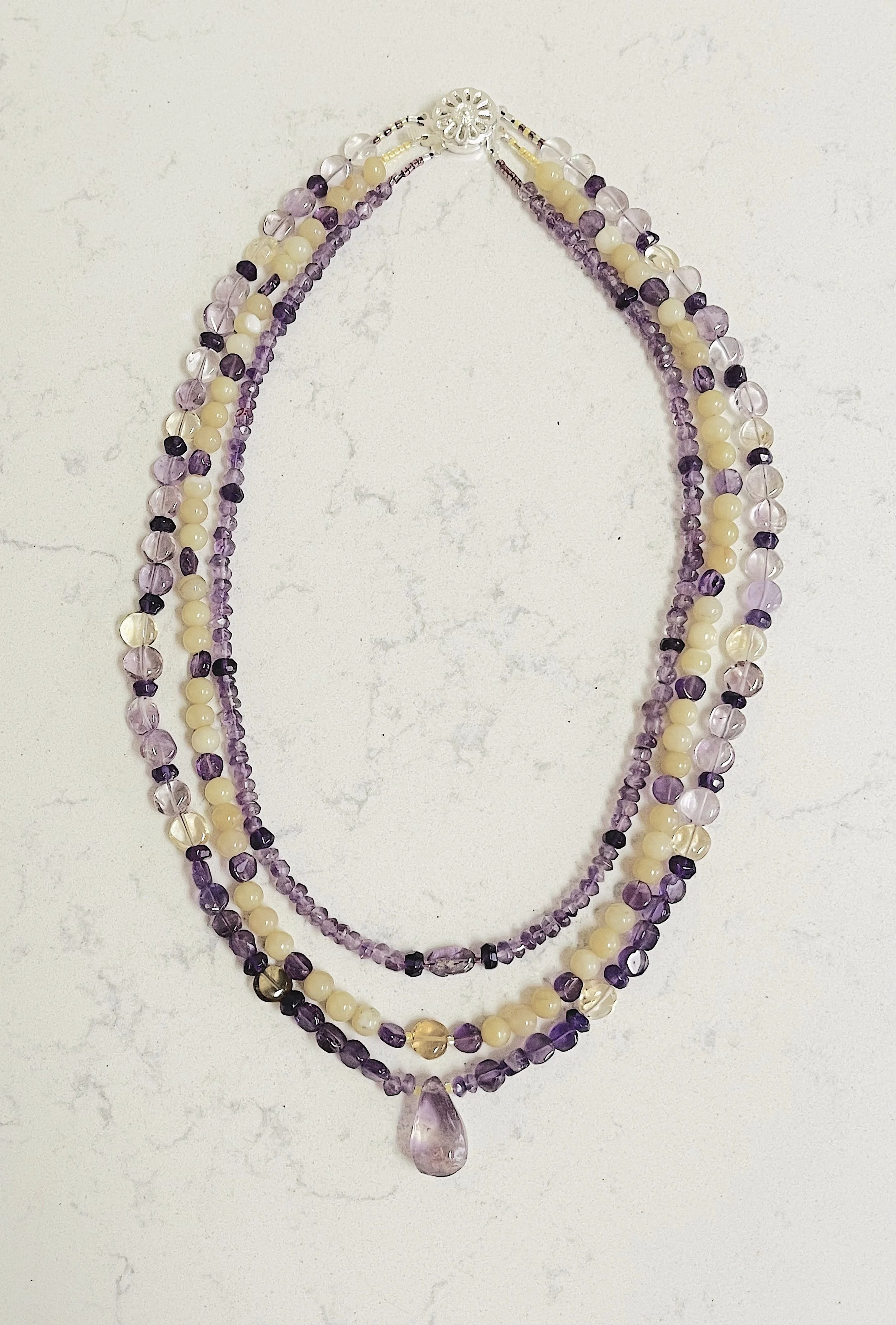 Purple and Yellow Pansies full.jpg