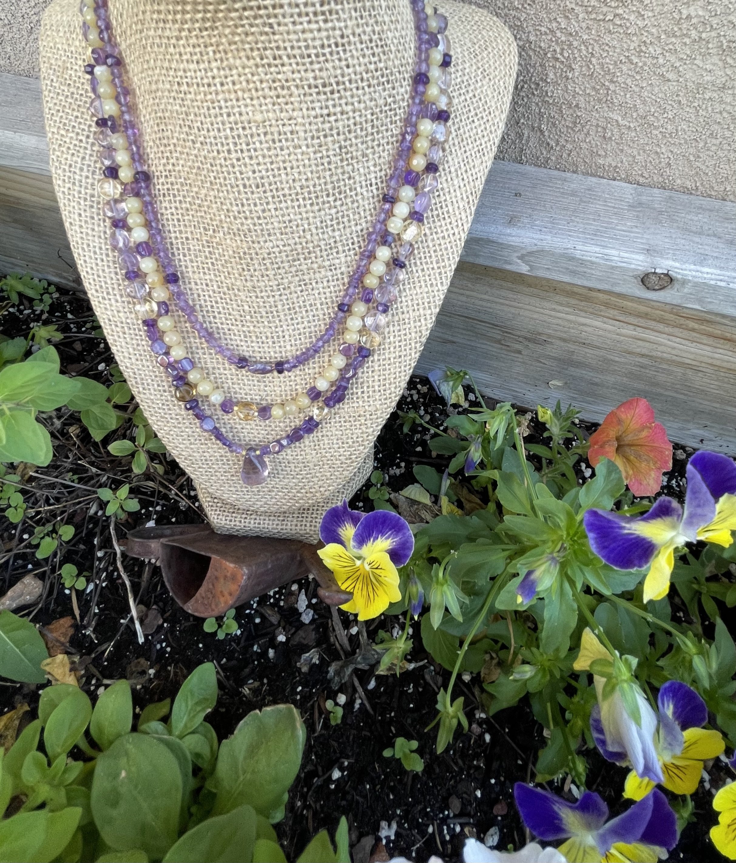 Purple and Yellow Pansies in pansies.jpg