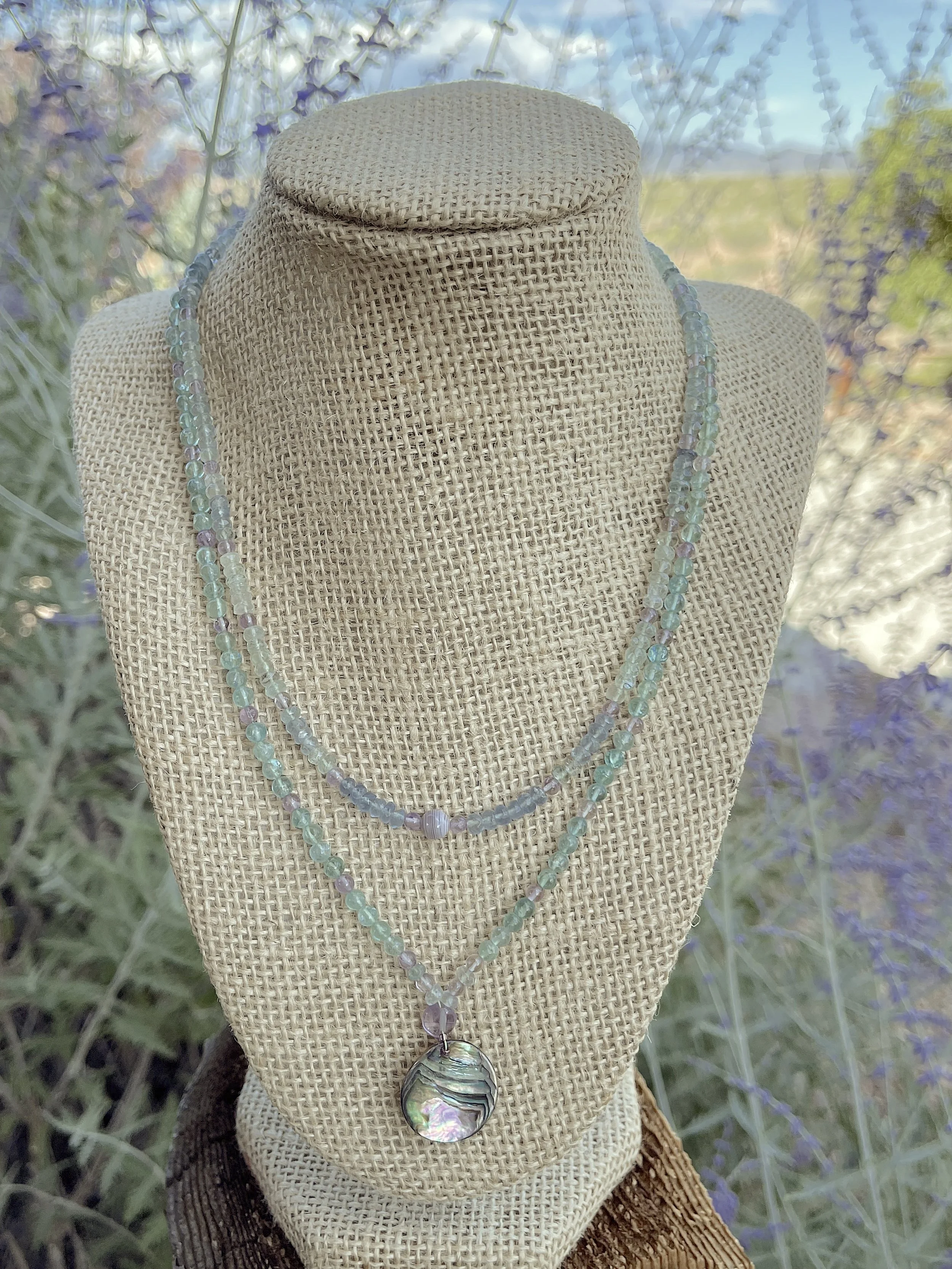 South Pacific:russian sage.jpg