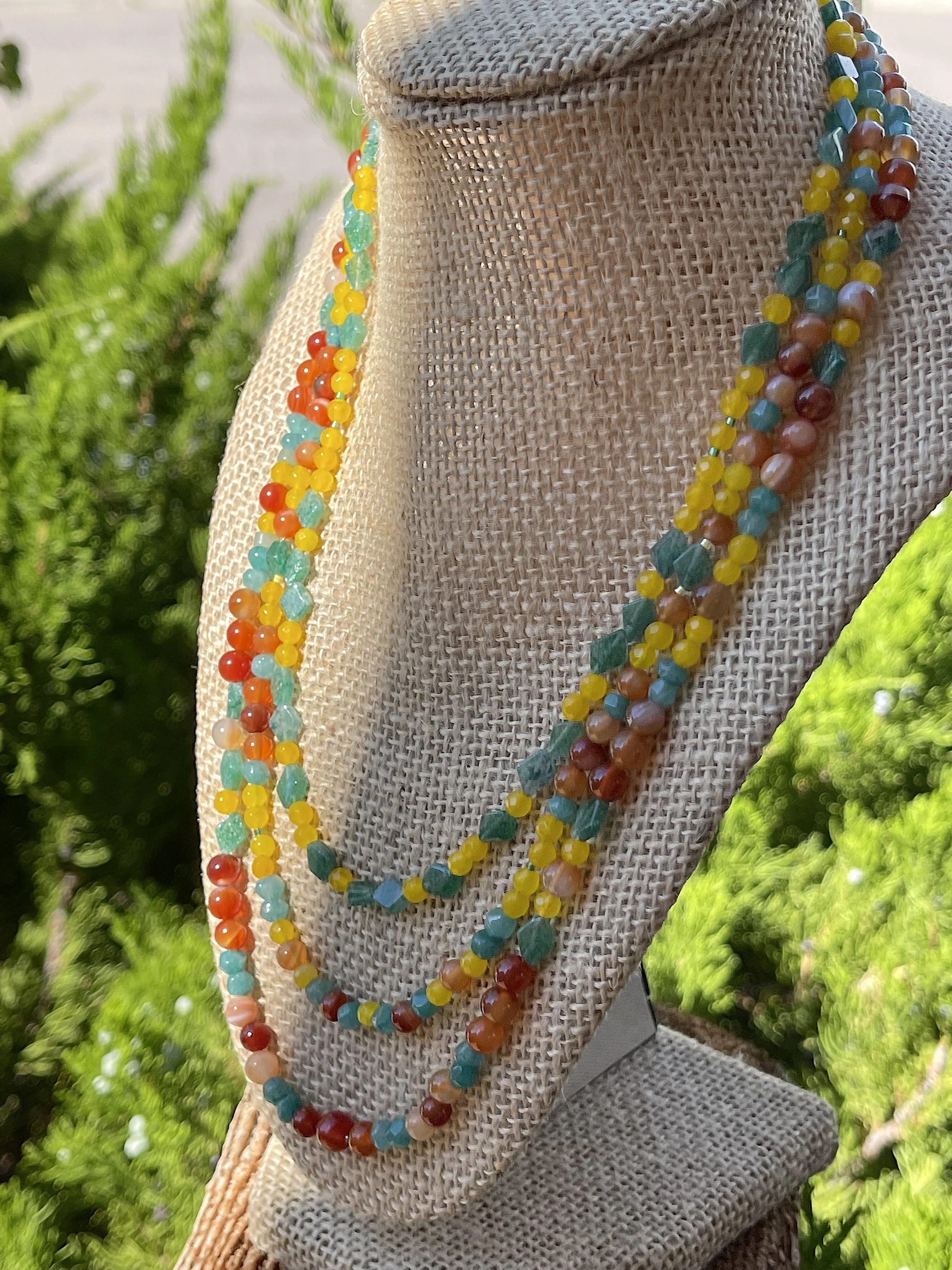 Trumpet Vines:1:2 sunshine.jpg