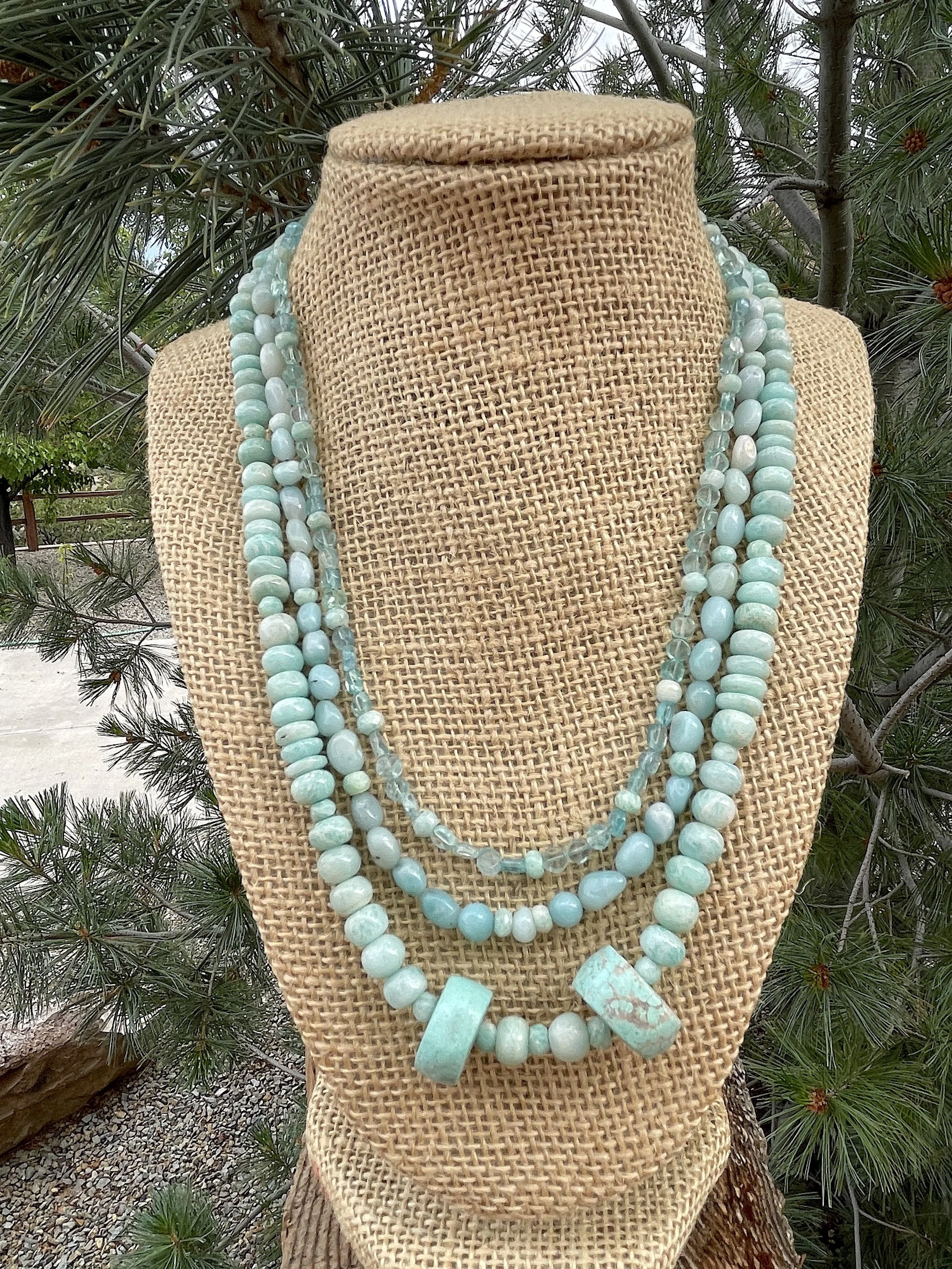 Tropics:pine tree.jpg