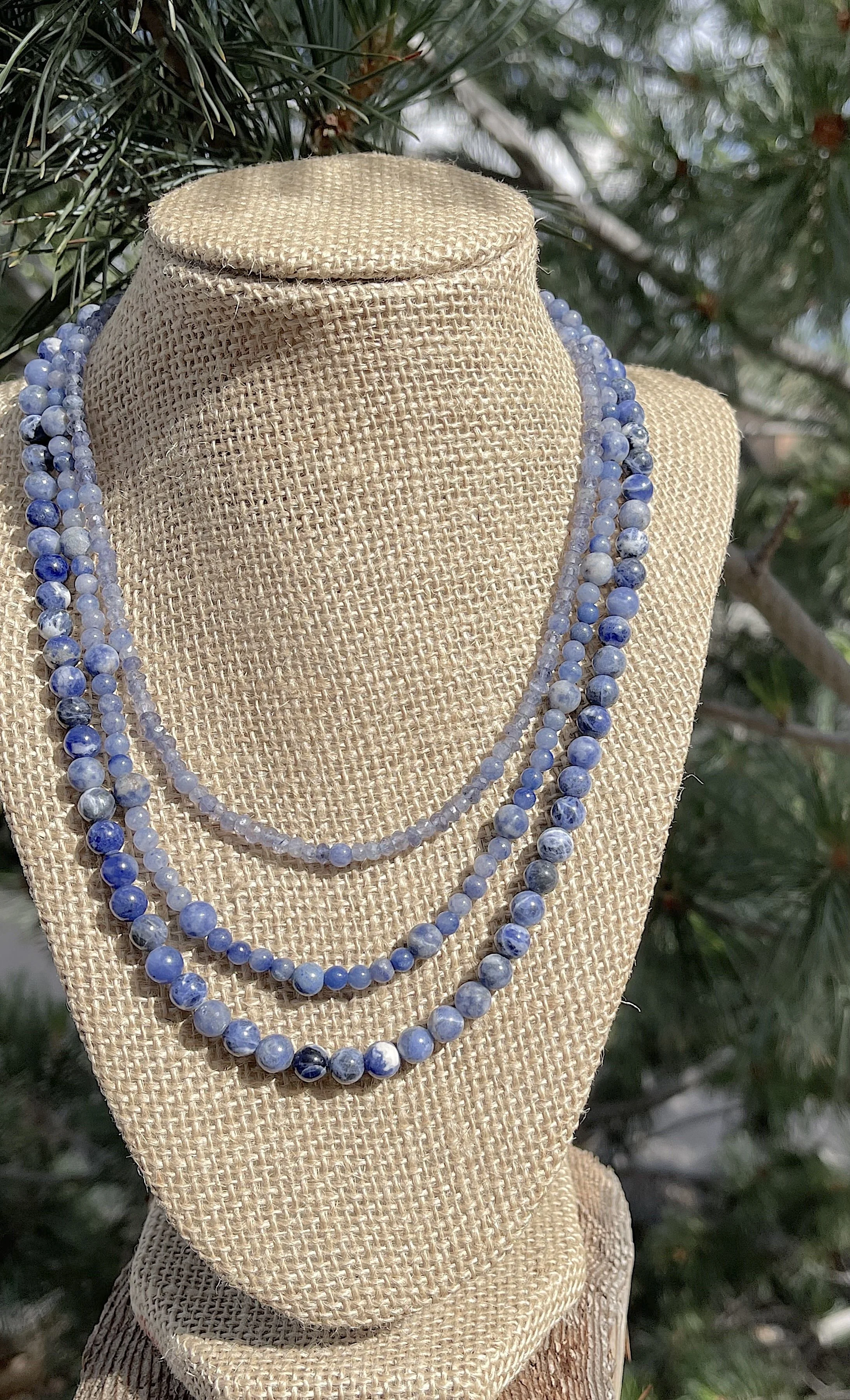 Monsoon Sky-in sun:pine.jpg