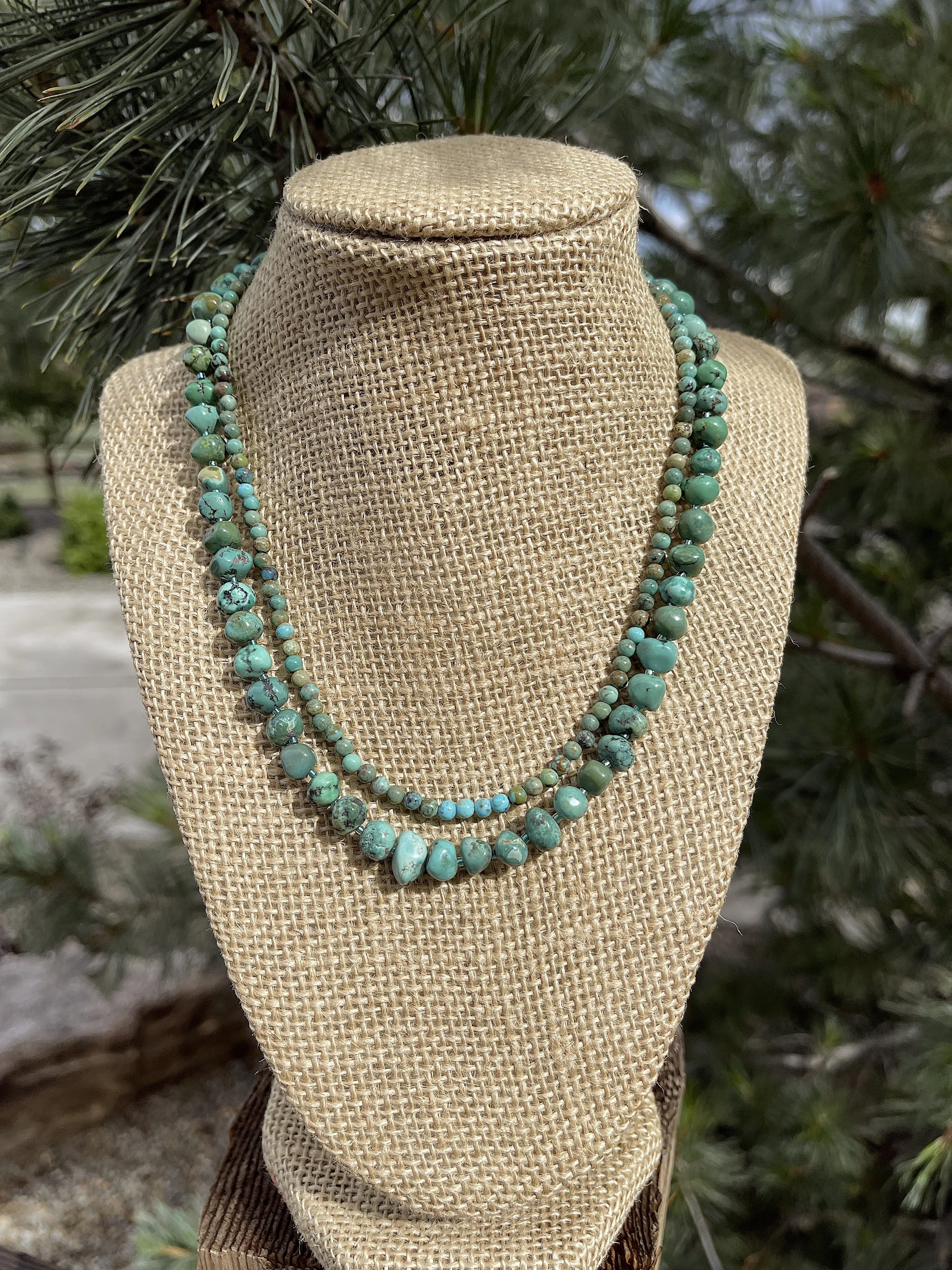 Cerillos in pine-excellent.jpg