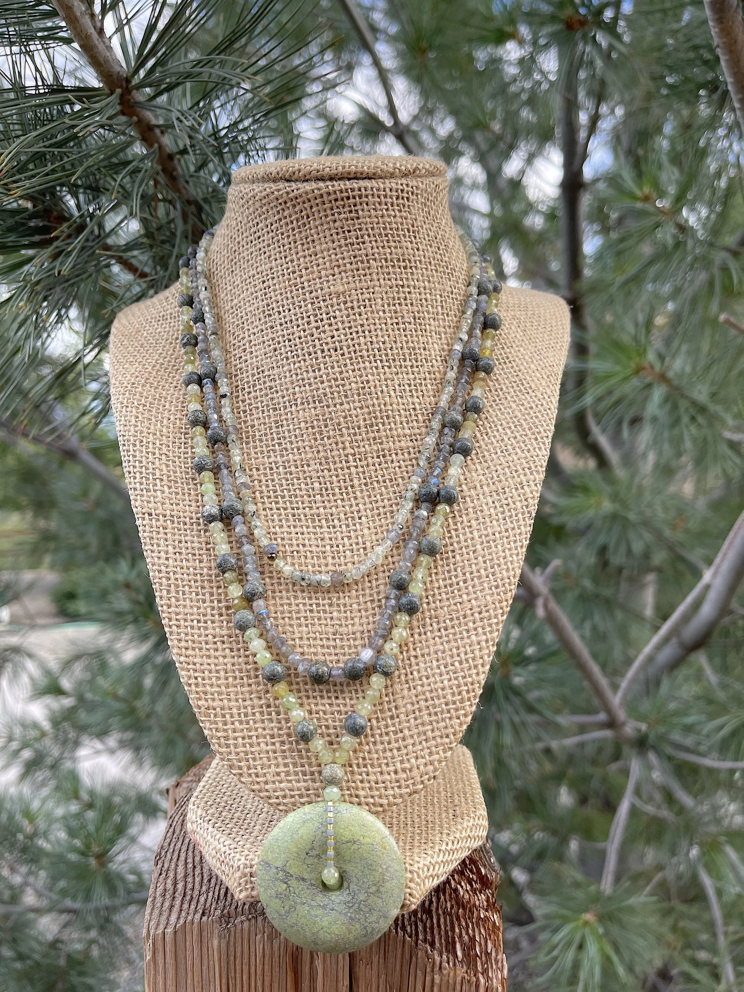 Olive Branch:pine tree.jpg