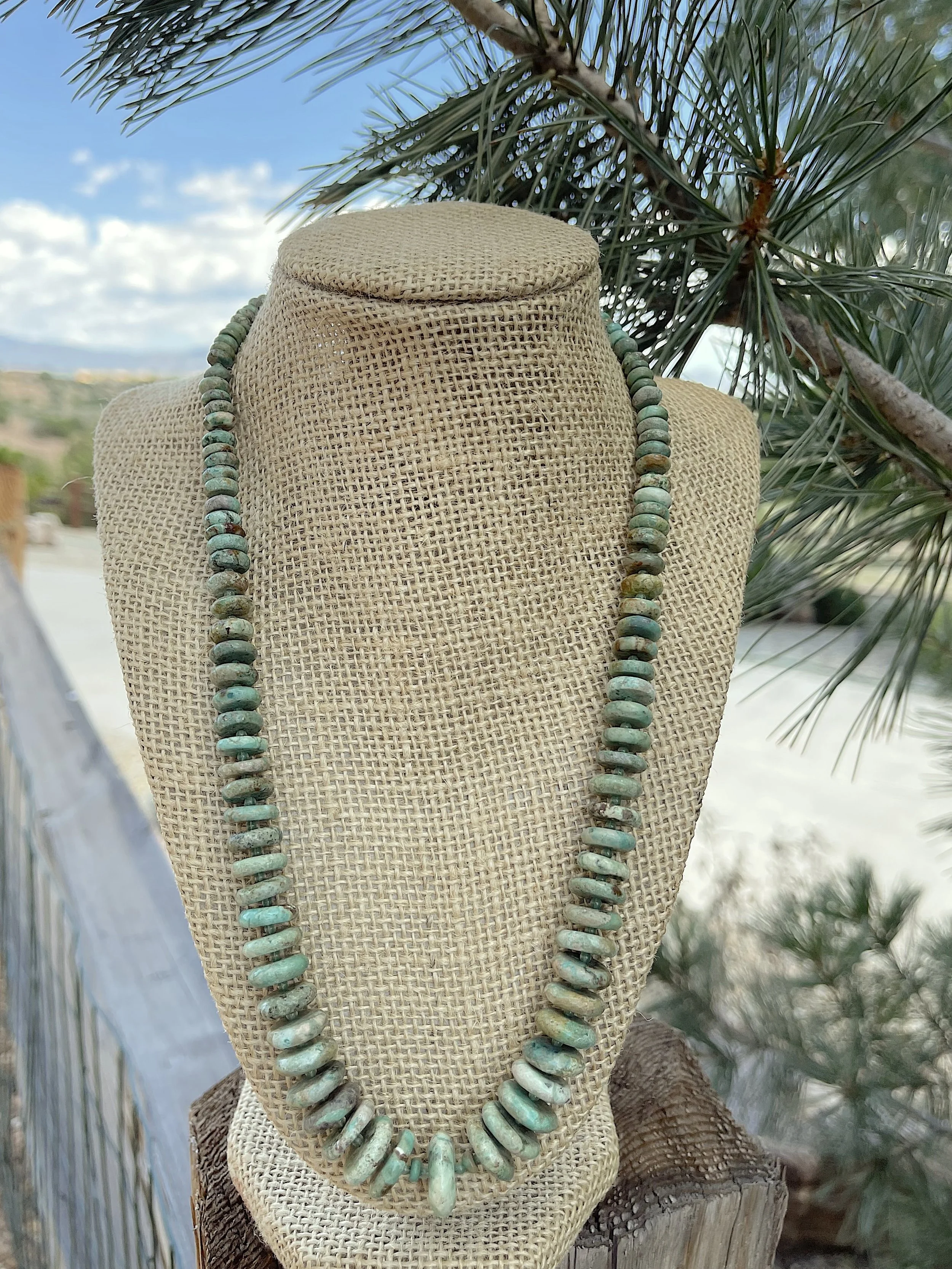 Denver:pine and sky.jpg