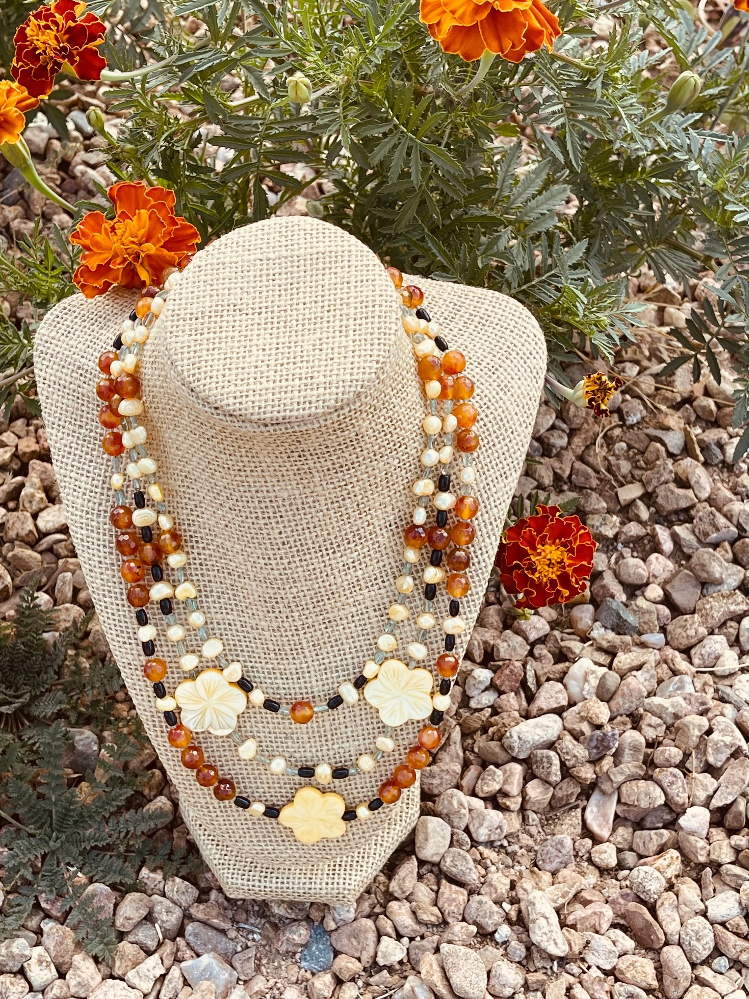 Bumble:marigold on rocks.jpg