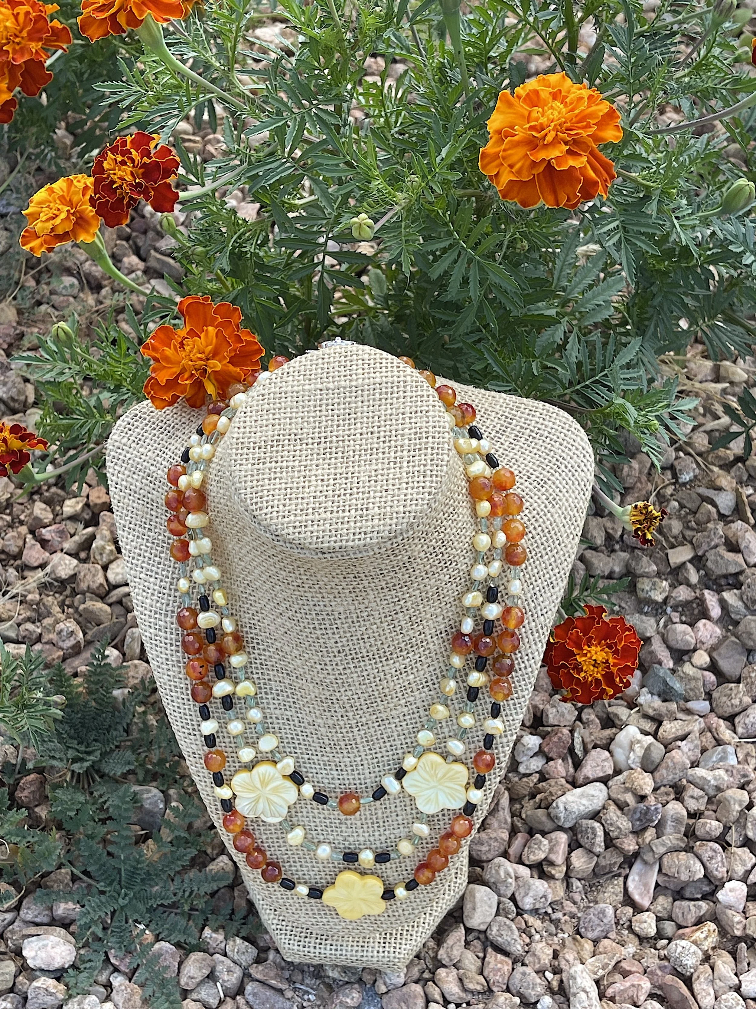 Bumble:marigold on rocks & marigolds.jpg