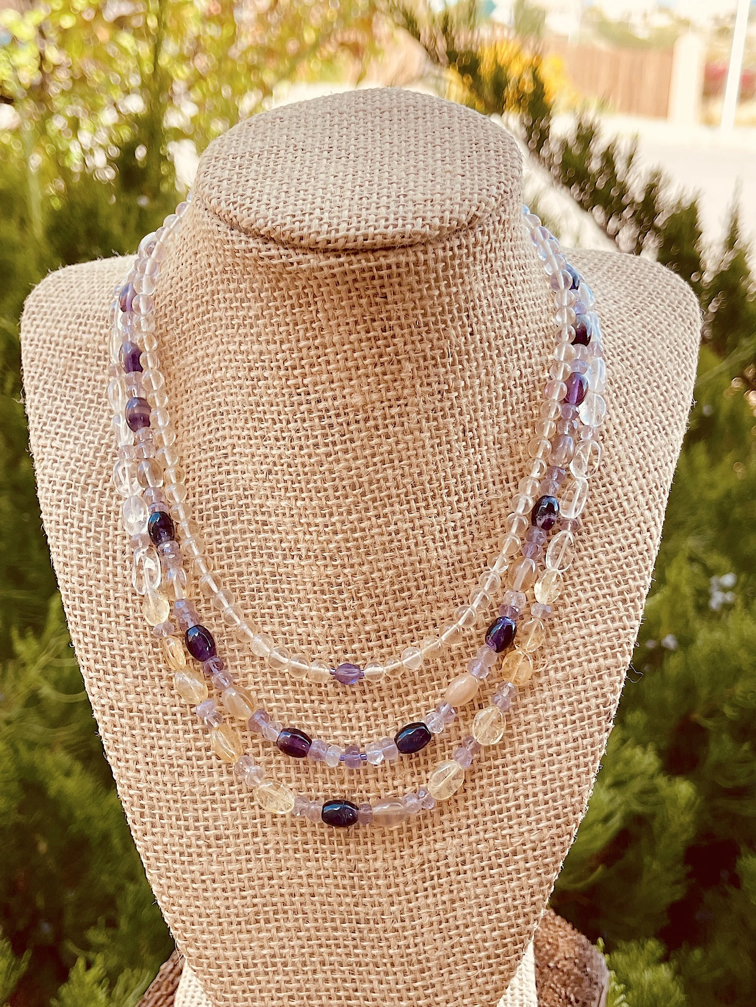 Russian Sage in Oct. junipers-2.jpg