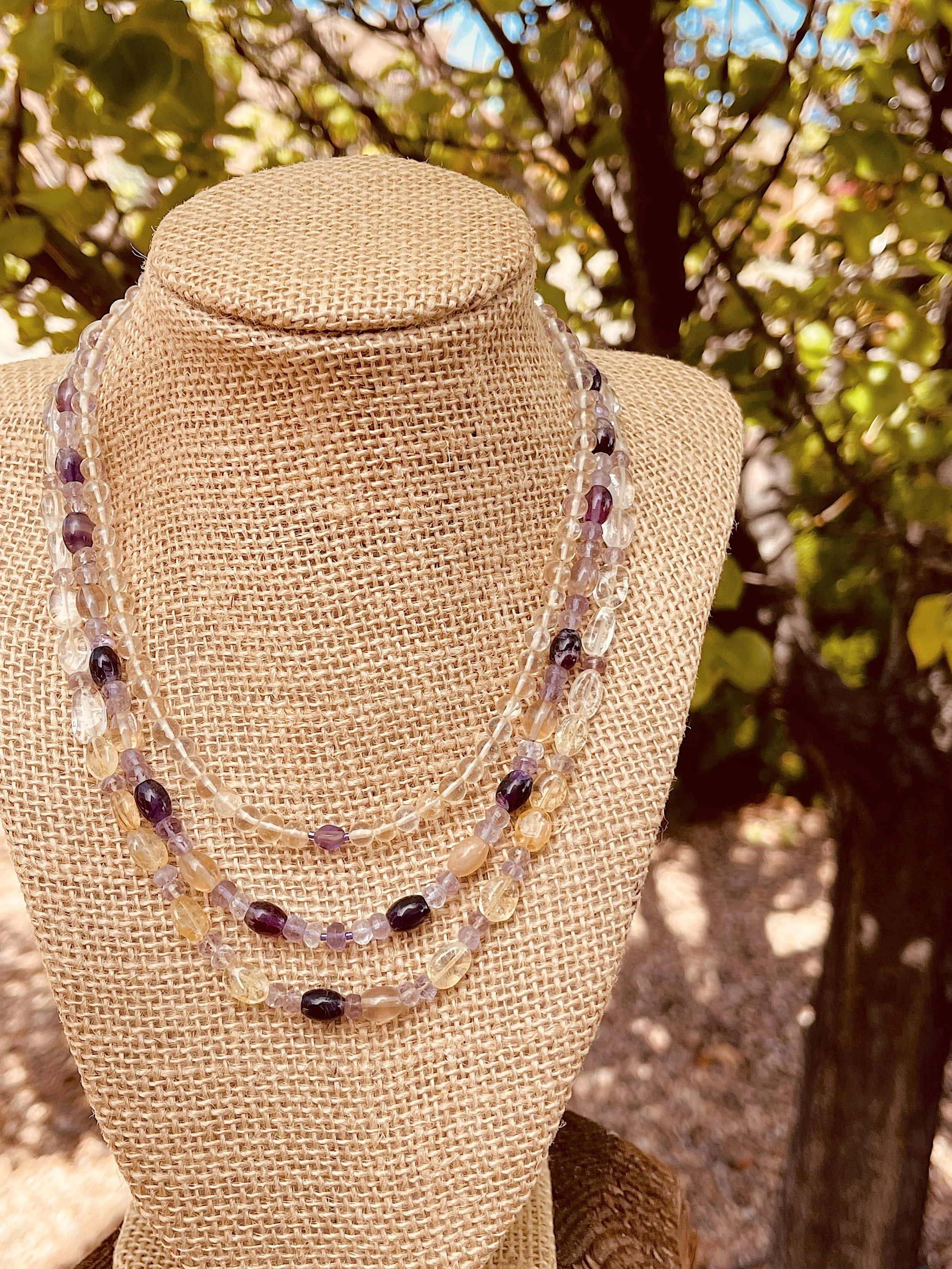 Russian Sage in Oct.:pear tree.jpg