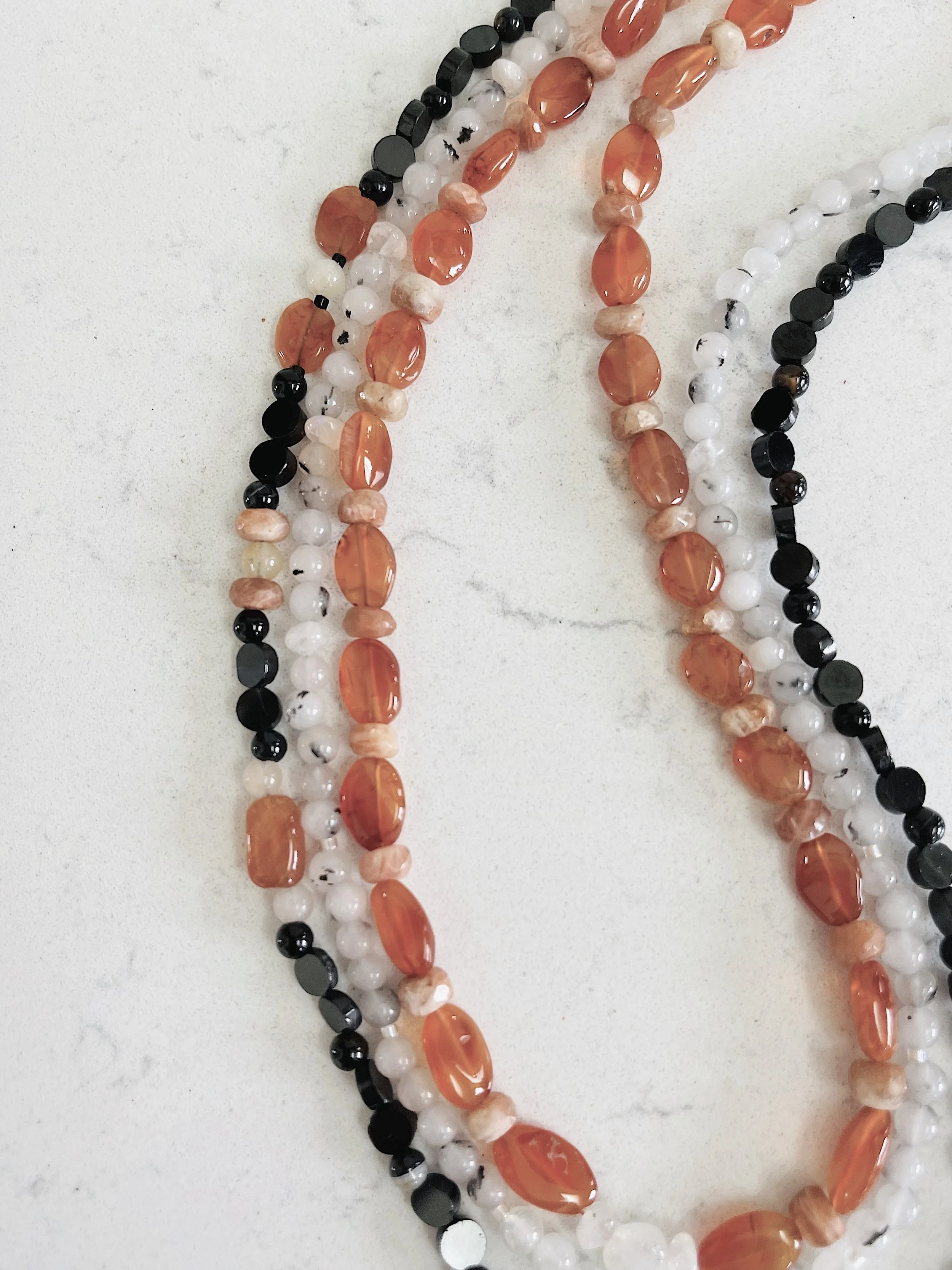 Red Fox:detail of tail .jpg