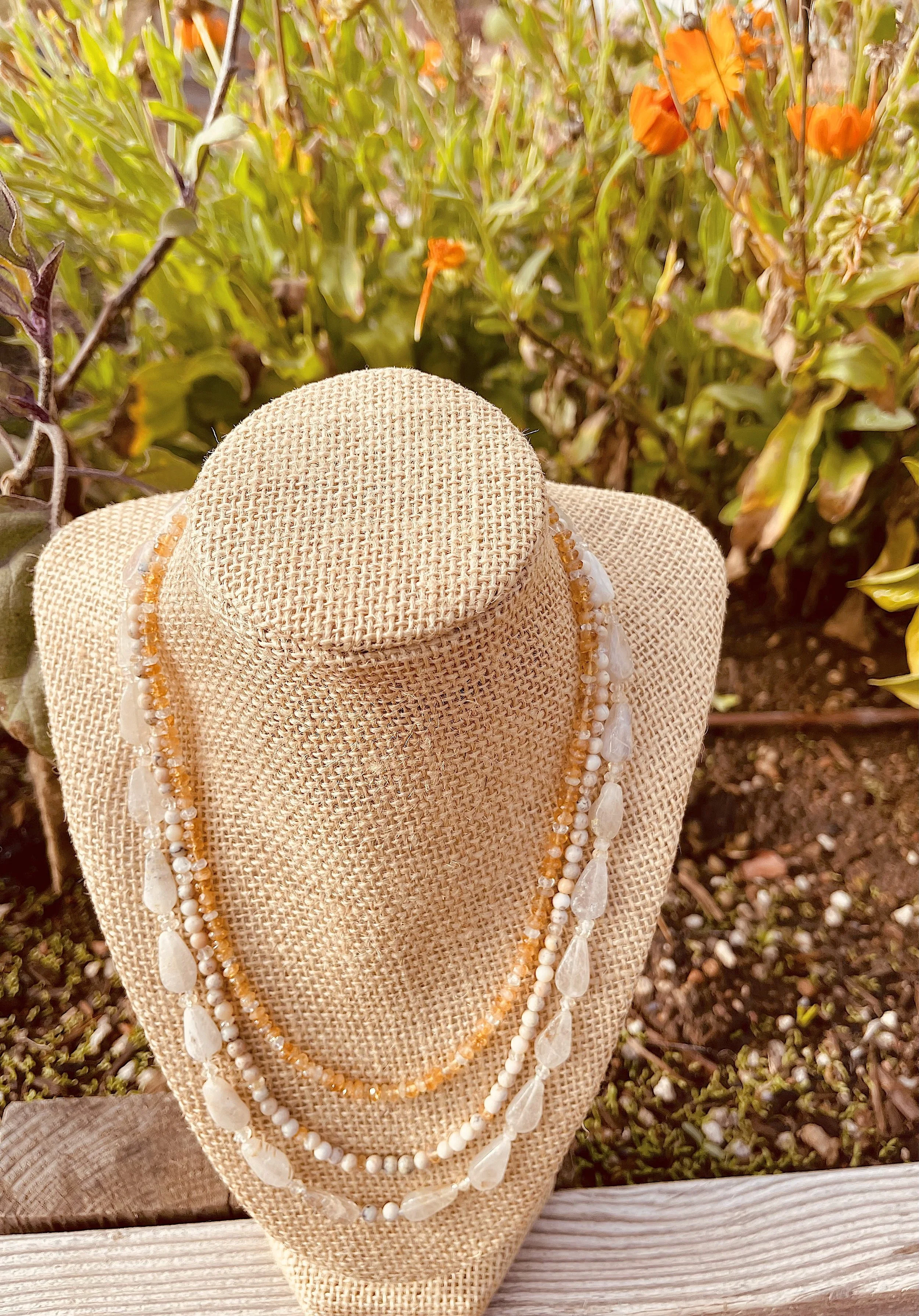 Rain on Calendulas-Calendulas.jpg