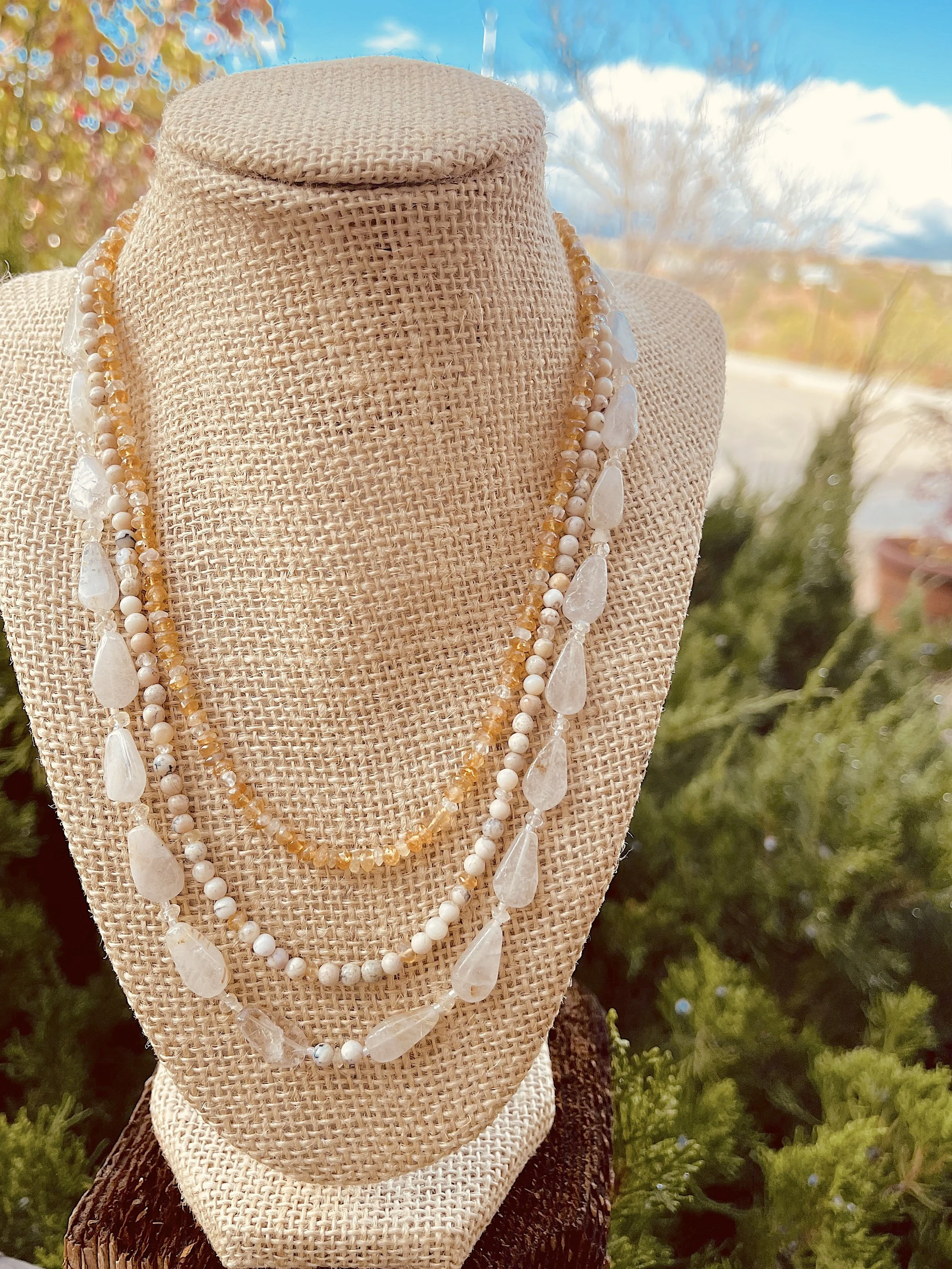 Rain on Calendulas-Juniper.jpg