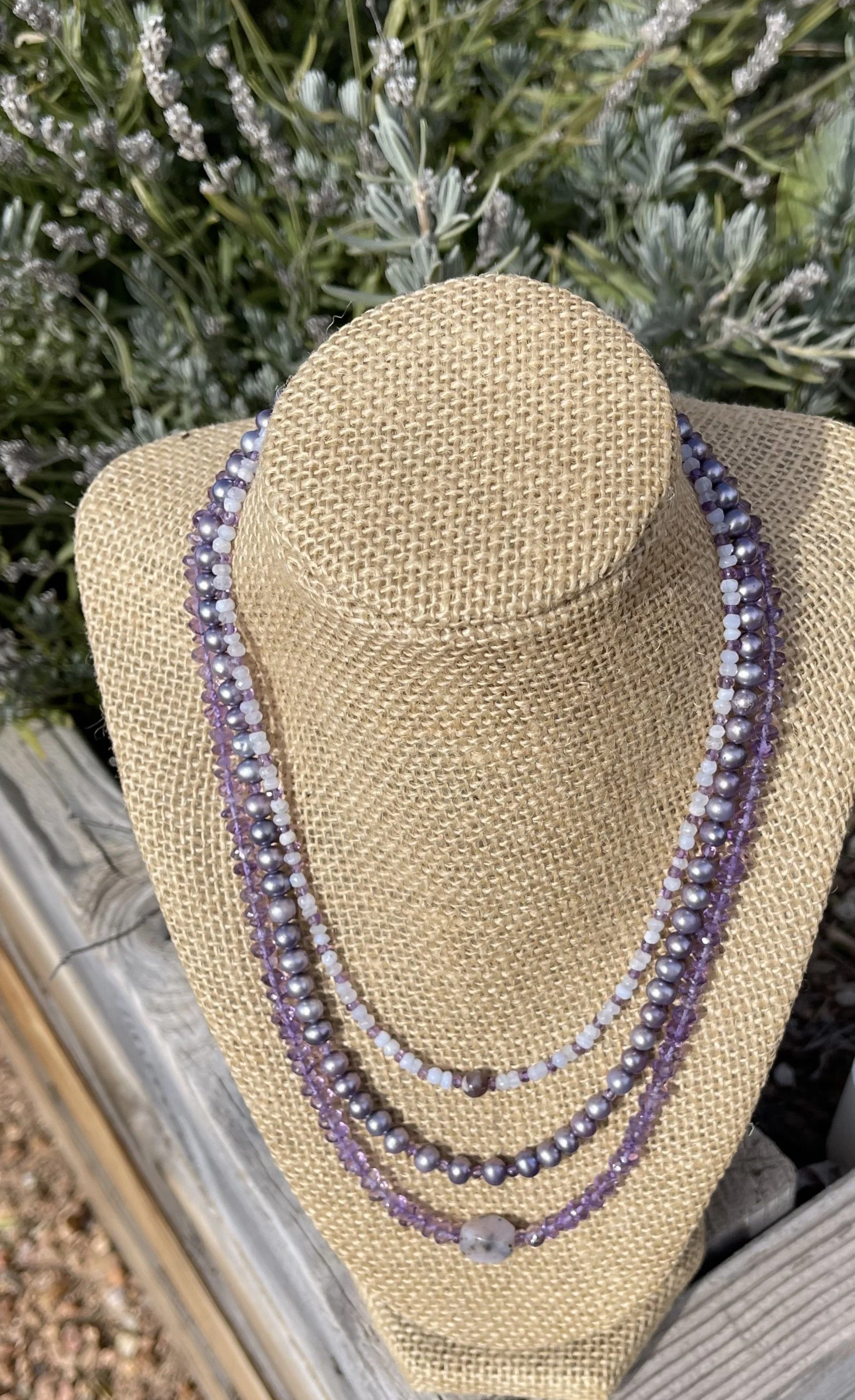 Lavender in lavender-good.jpg