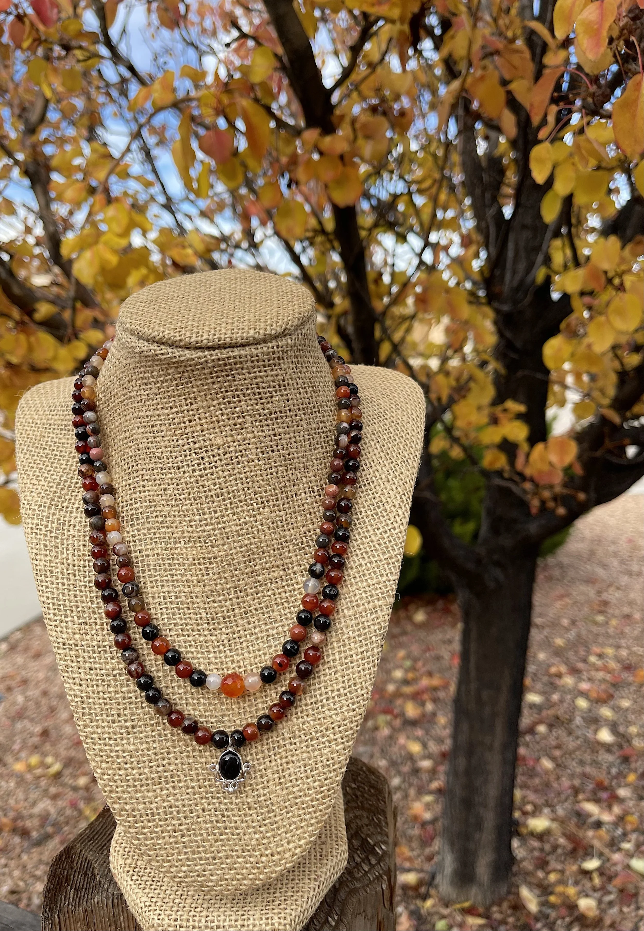 Harvest pear tree.jpg