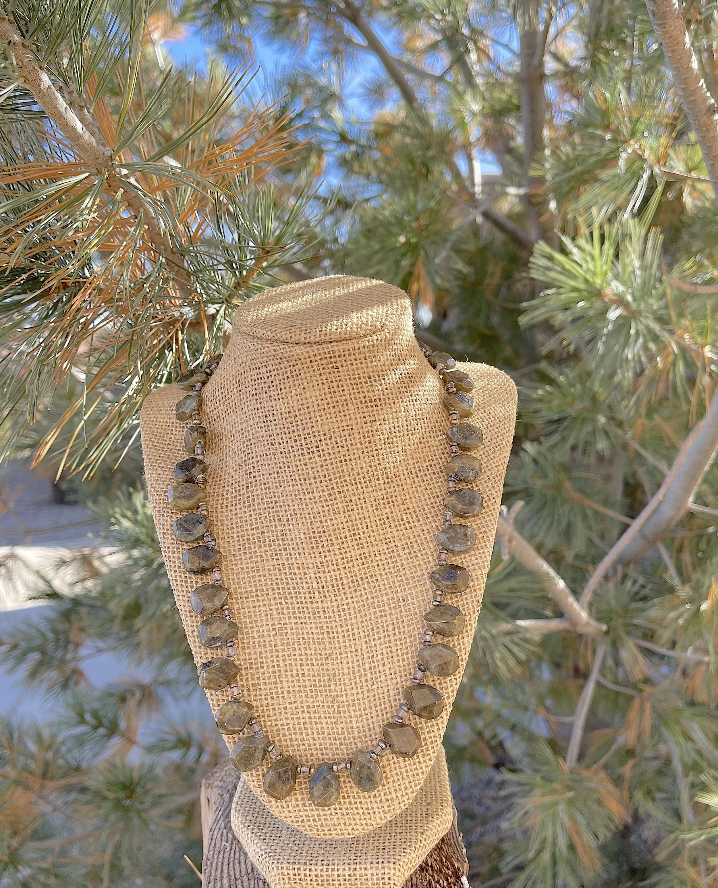 Stormy Sky-pine tree.jpg