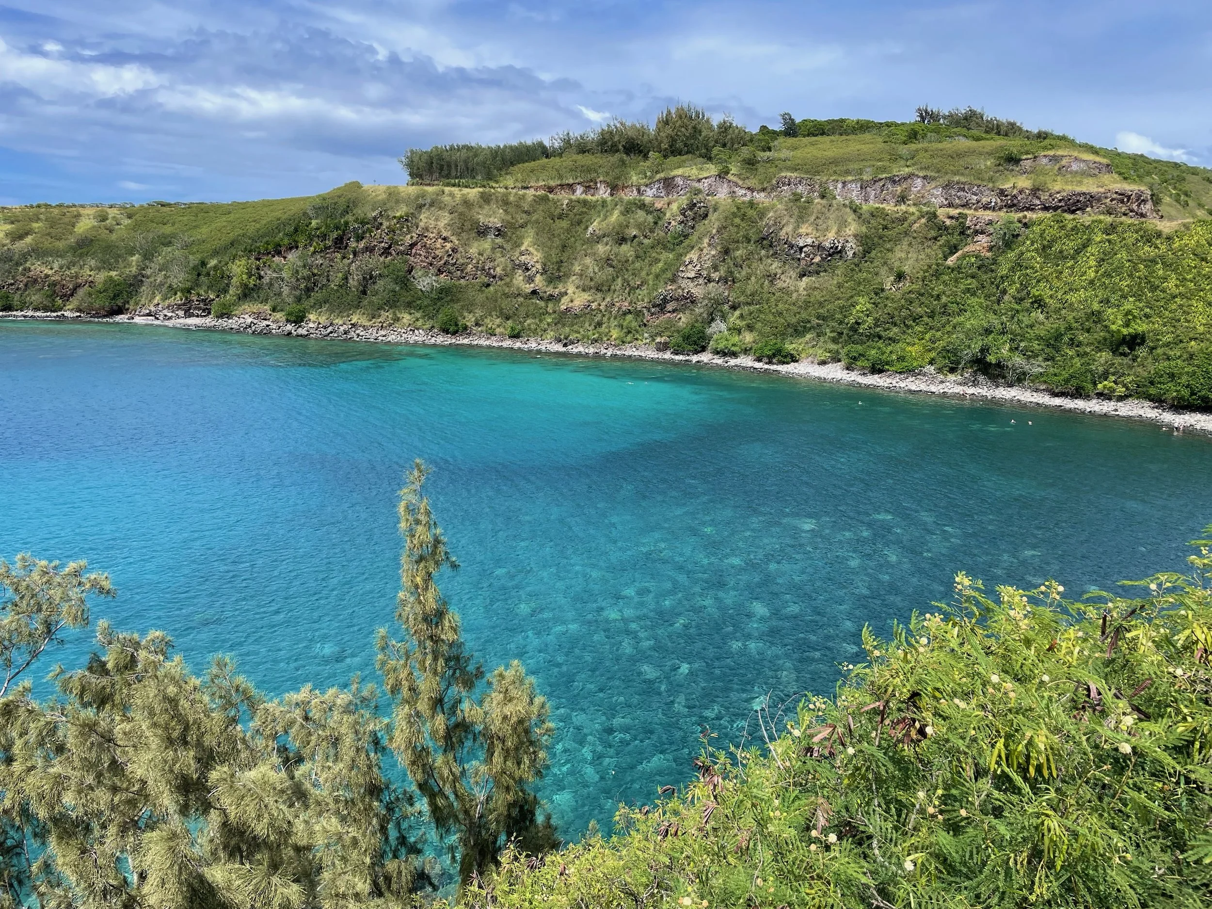 The Snorkelling Pool courtesy of JPJ.jpeg