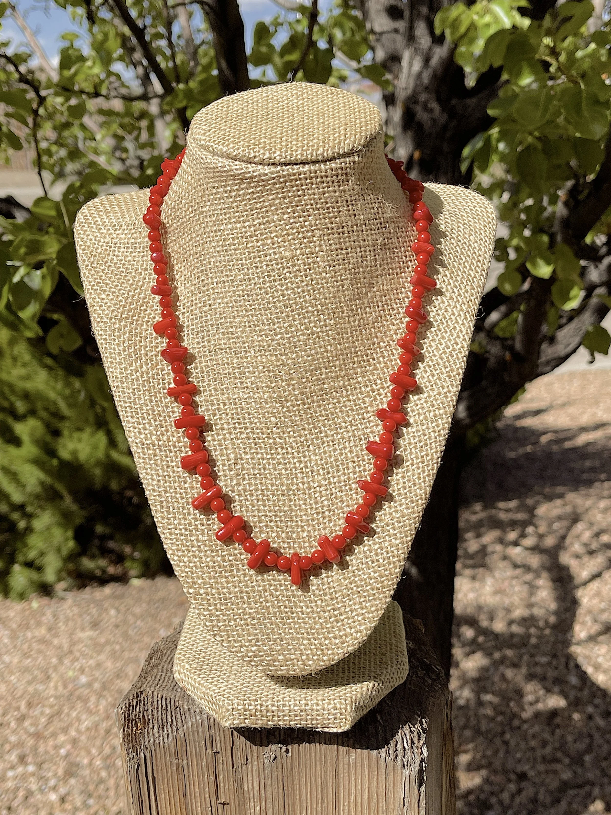 Simply Red pear tree.jpg