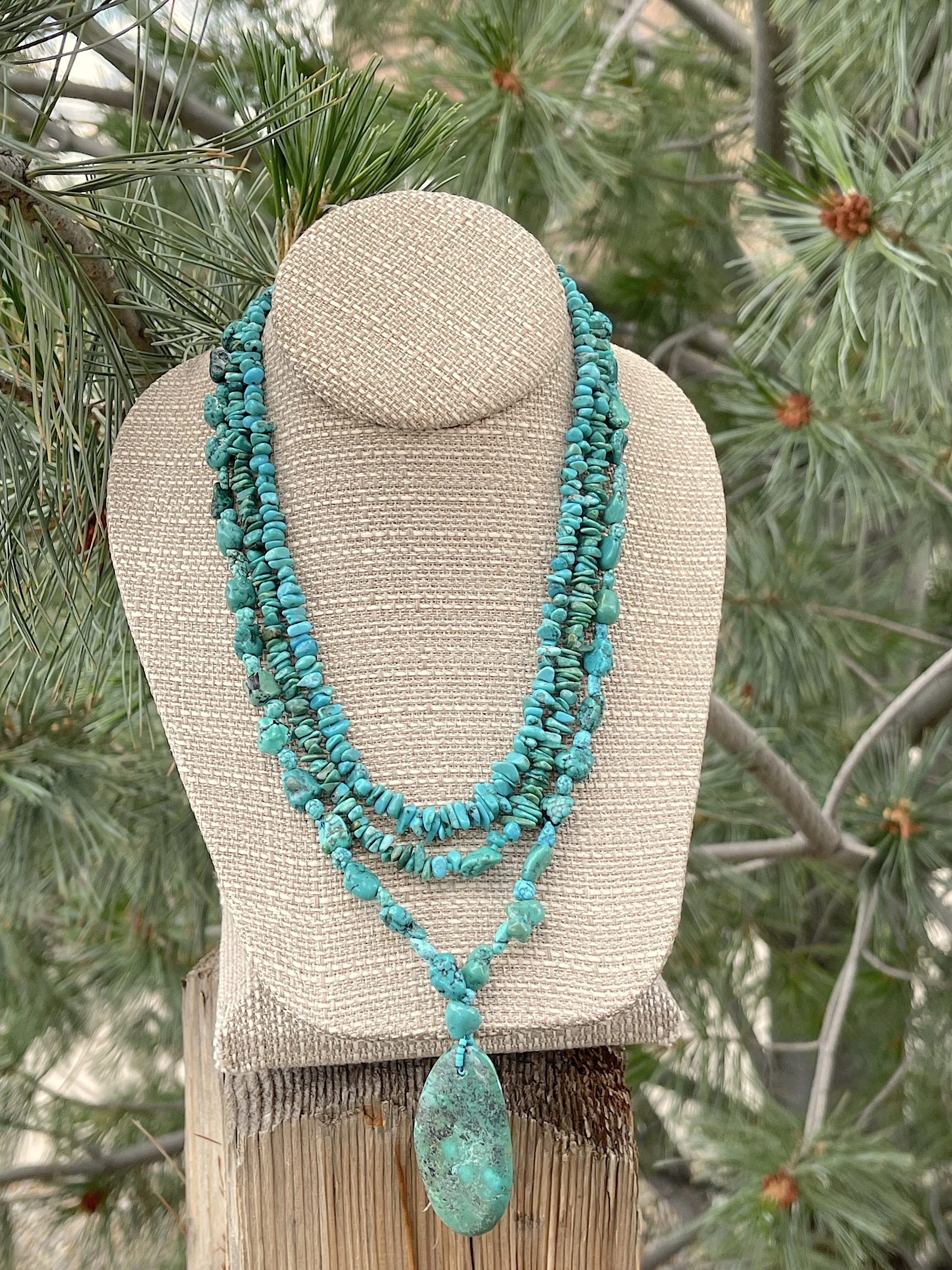 Turquoise Valley pine.jpg