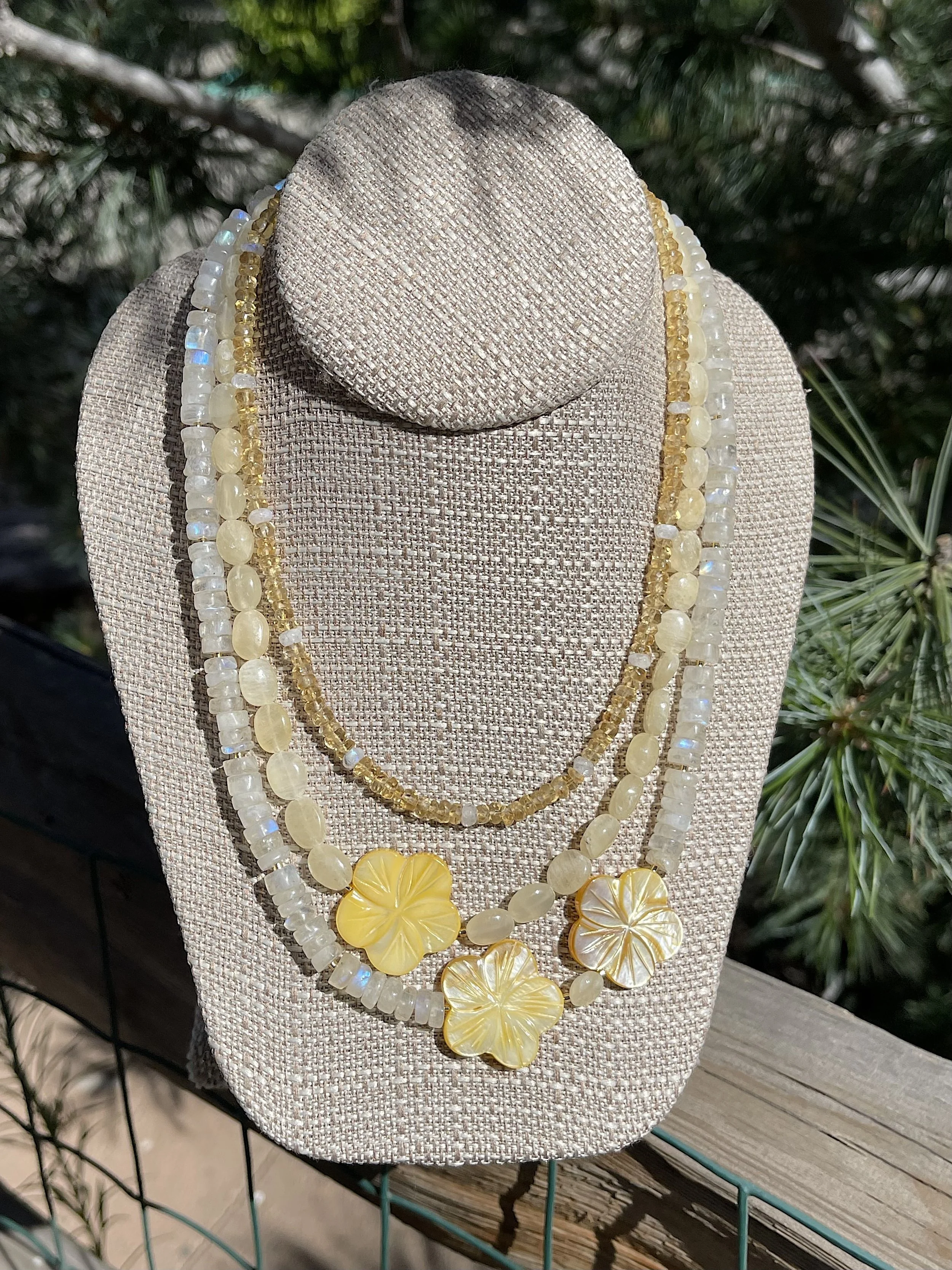 Yellow Hibiscus pine tree.jpg