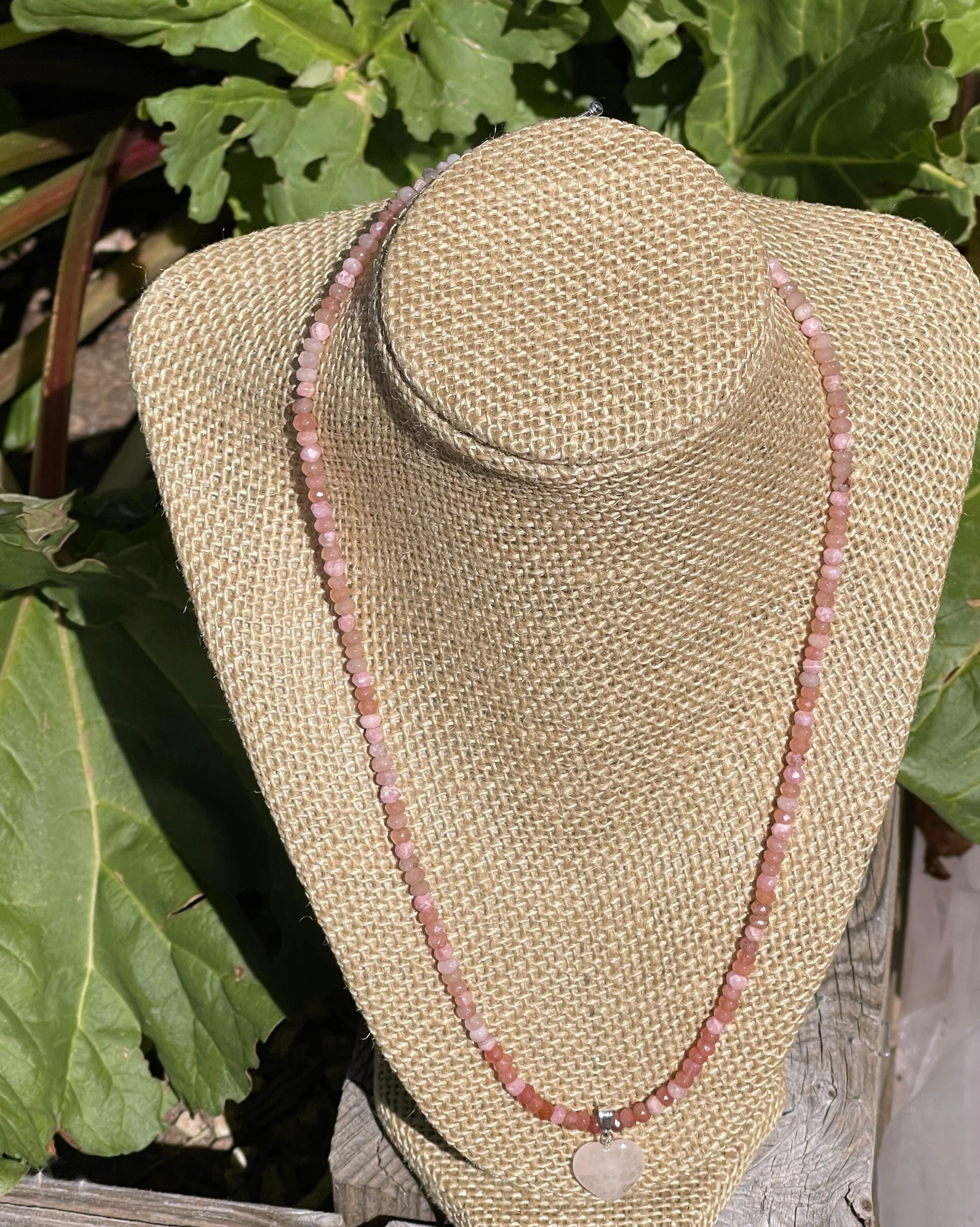 Rose Heart rhubarb.jpg