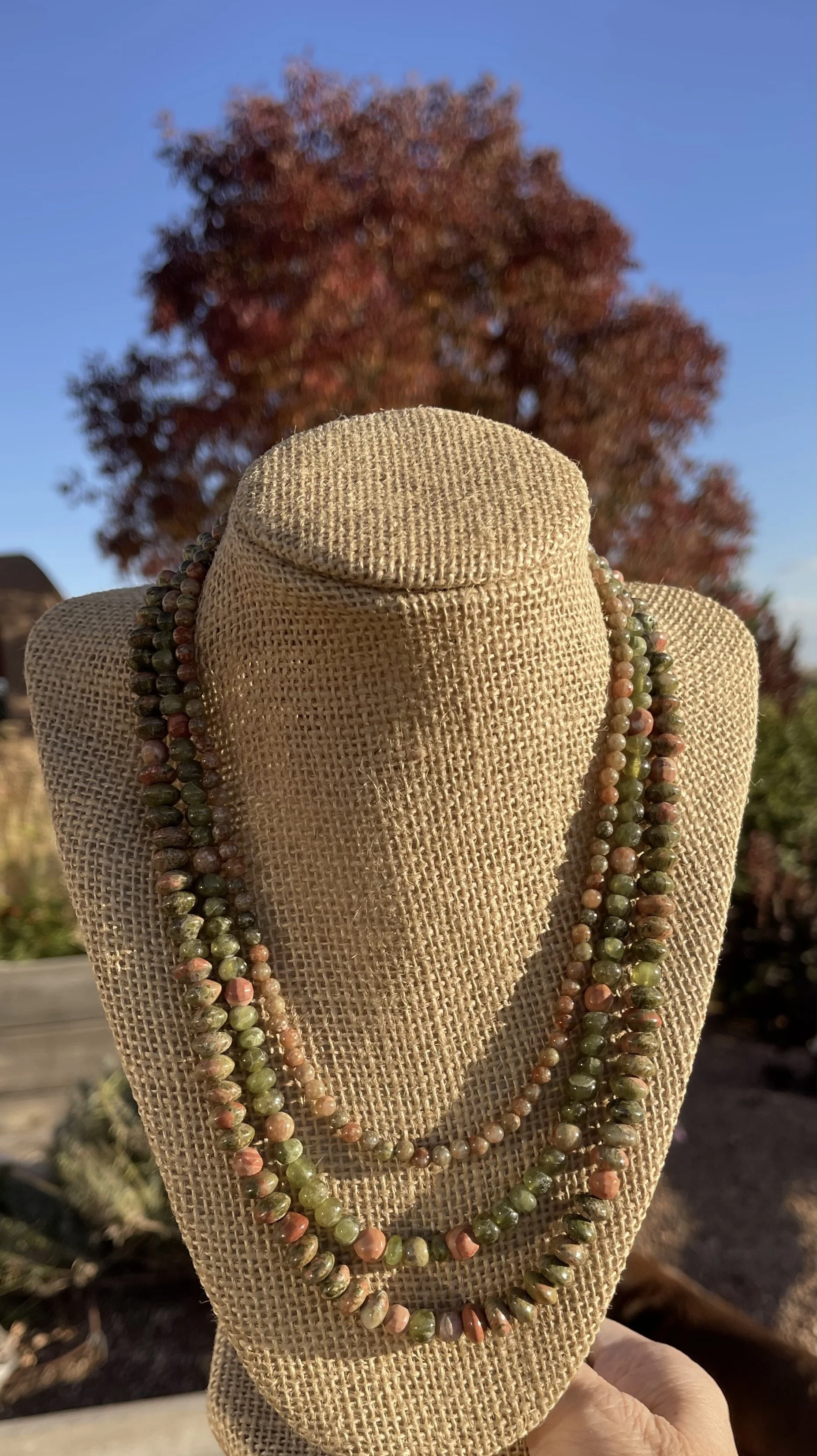 Autumn Blaze Ash with the tree.jpg