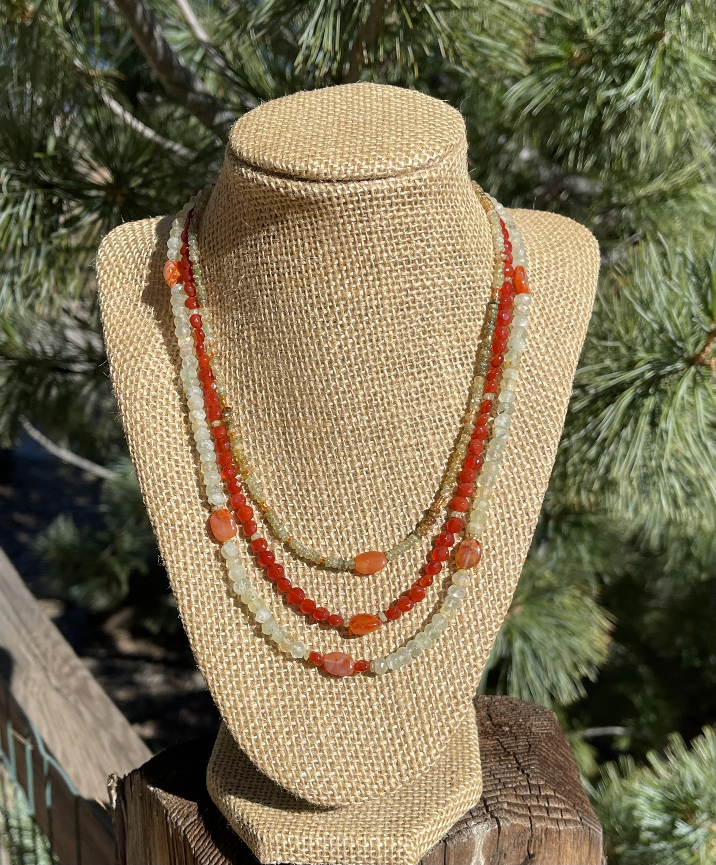 Fall Bradford Pear Tree pine tree.jpg