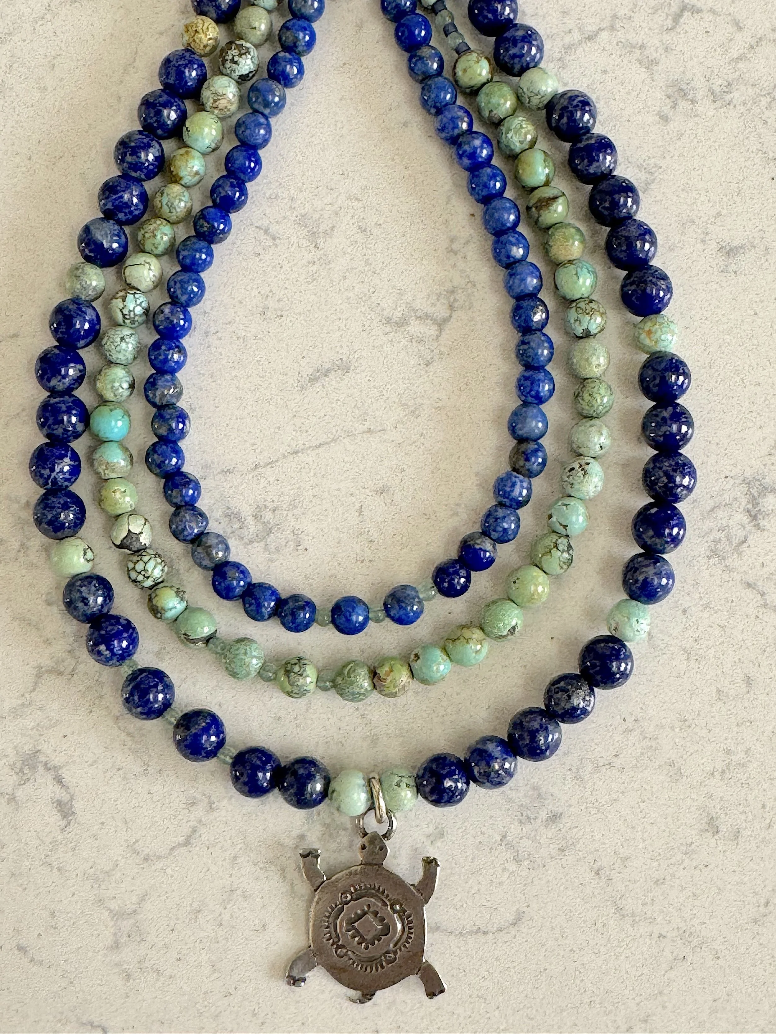 Turtle Island closeup.jpg