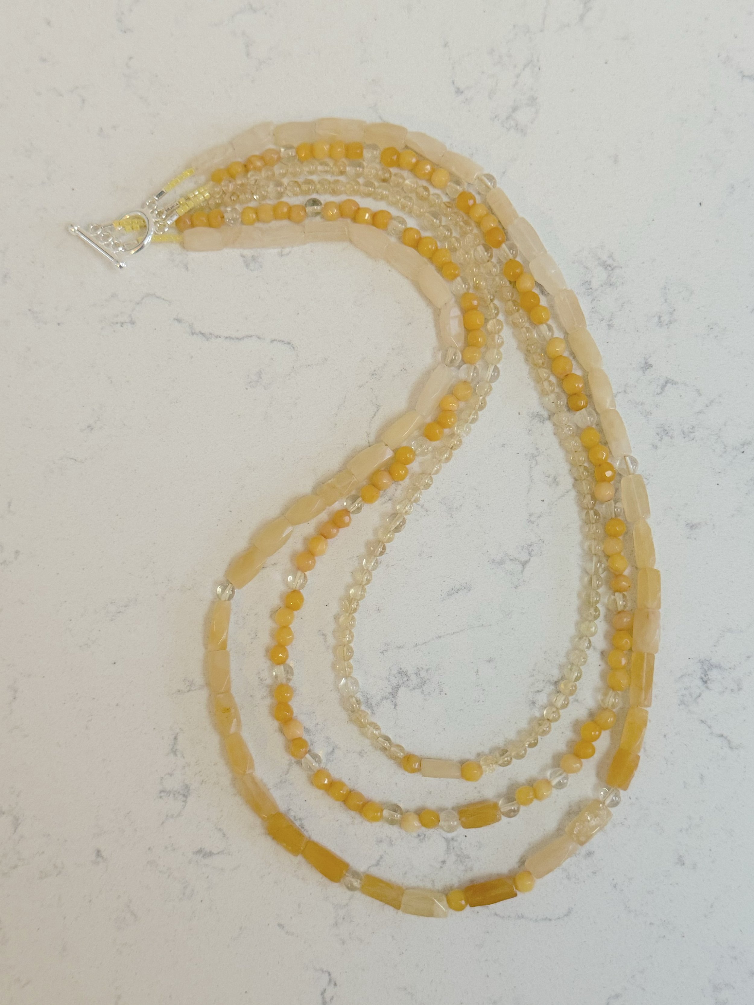 Early Daffodils curved.jpg